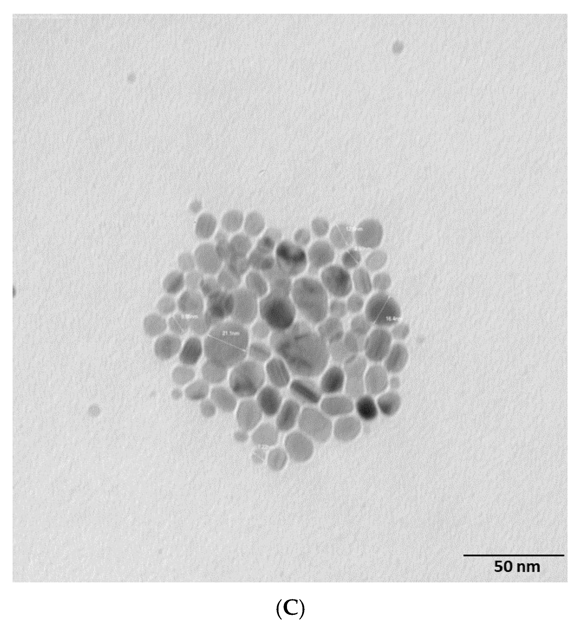 Marinedrugs 20 00558 g003b