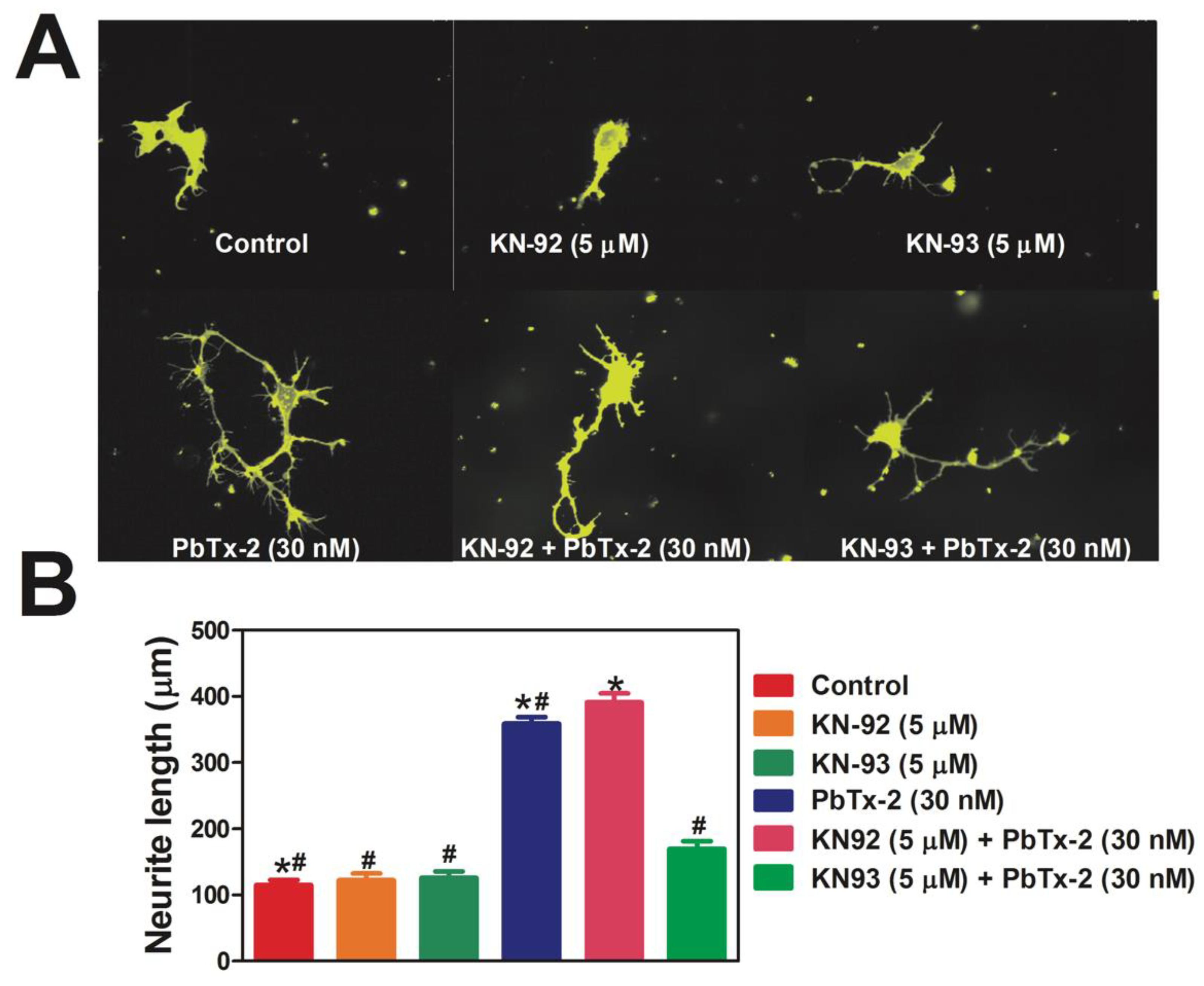 Marinedrugs 20 00559 g005 Marinedrugs 20 00559 g005