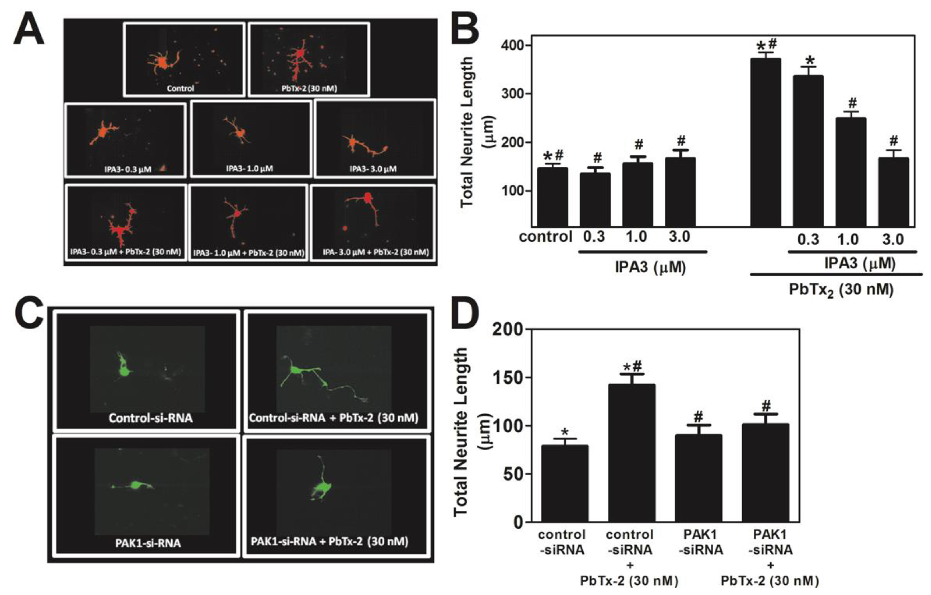Marinedrugs 20 00559 g007 Marinedrugs 20 00559 g007