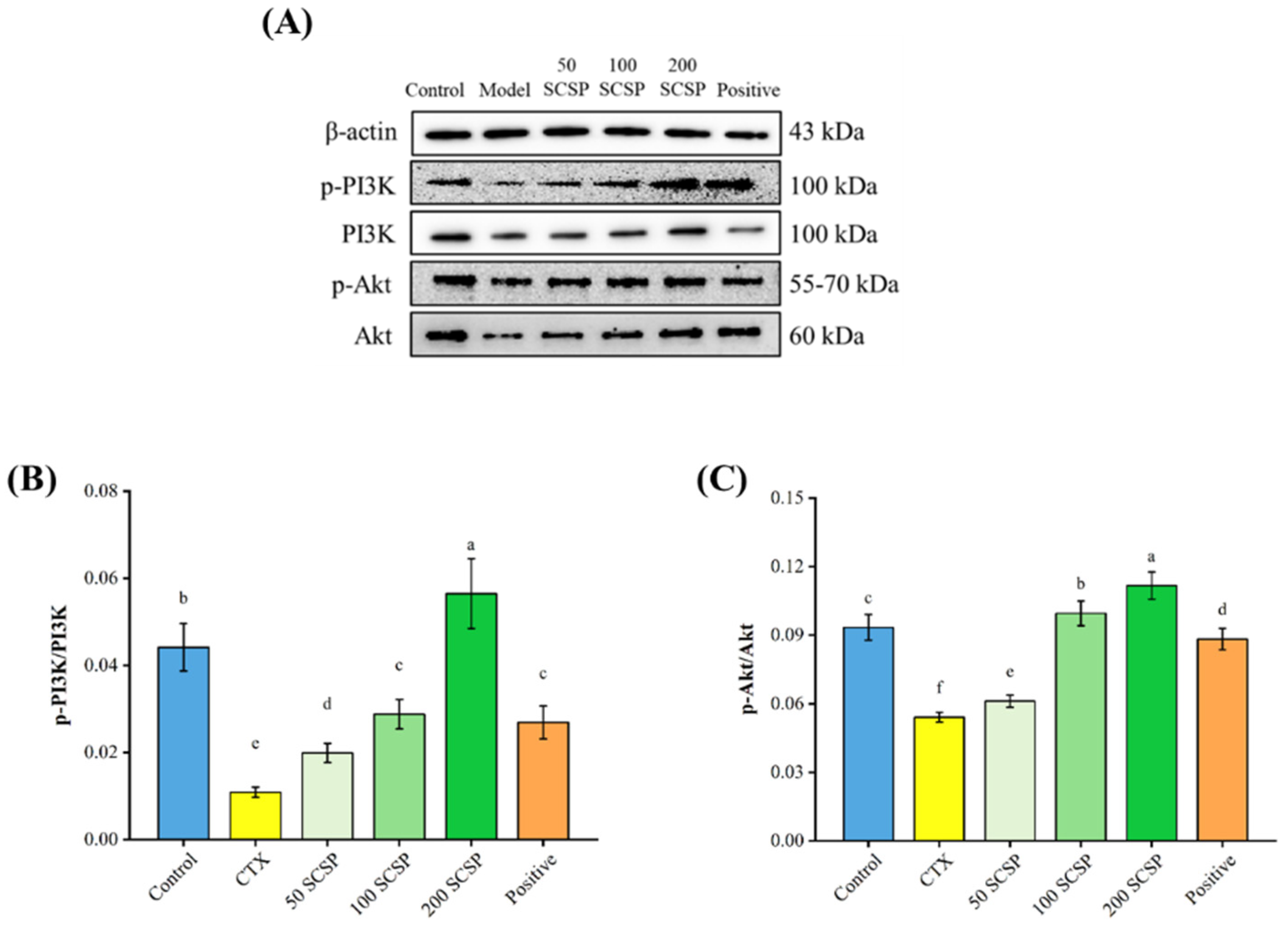 Marinedrugs 20 00560 g005