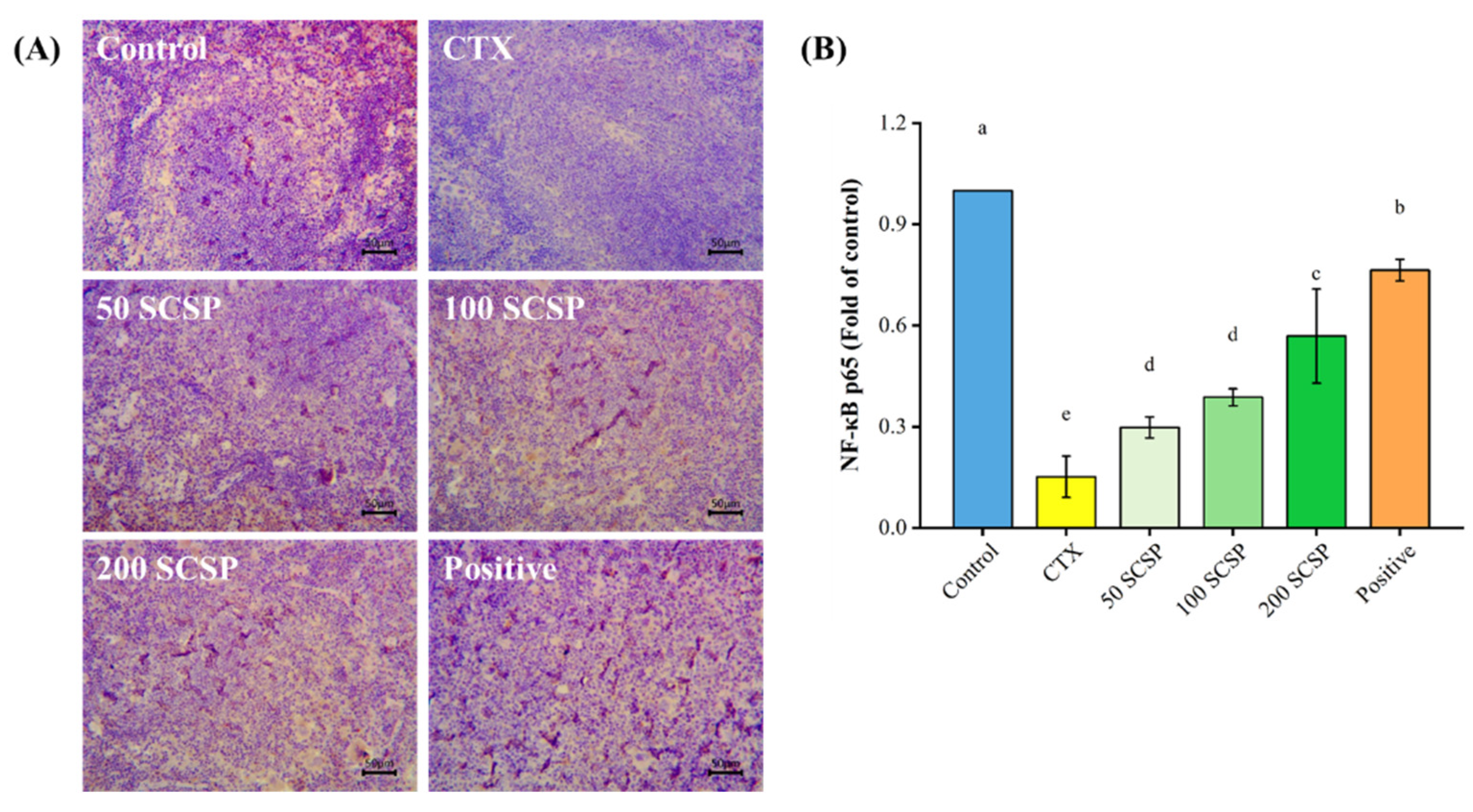 Marinedrugs 20 00560 g008