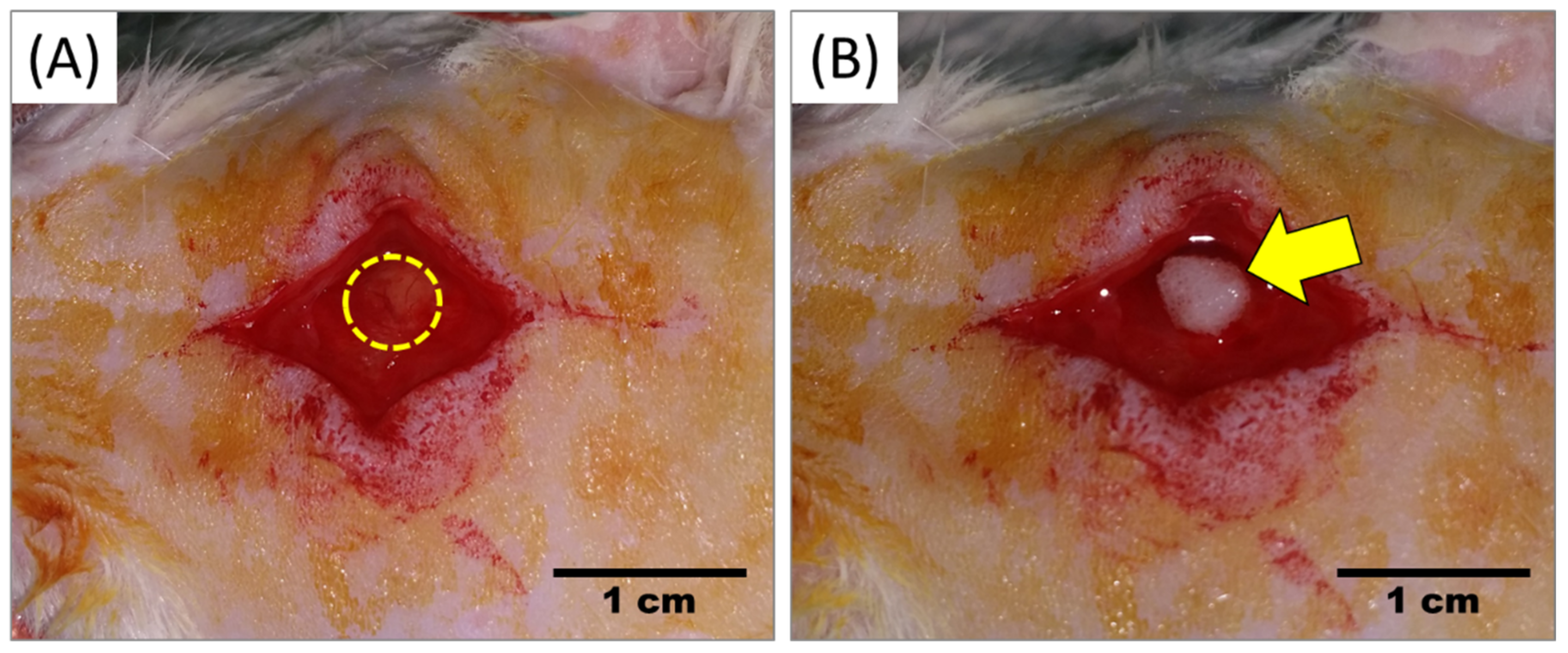 Marinedrugs 20 00561 g004