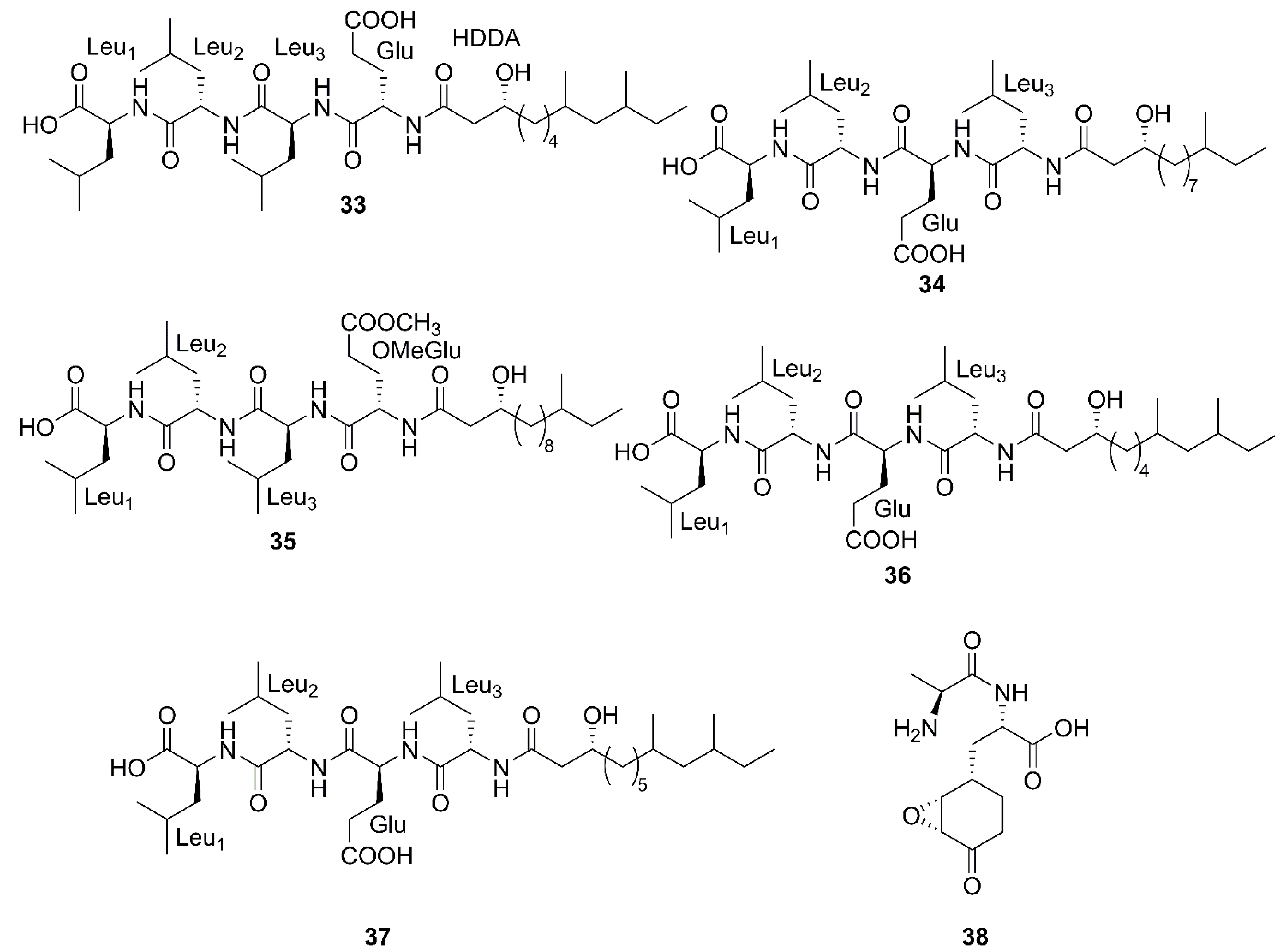 Marinedrugs 20 00567 g005b