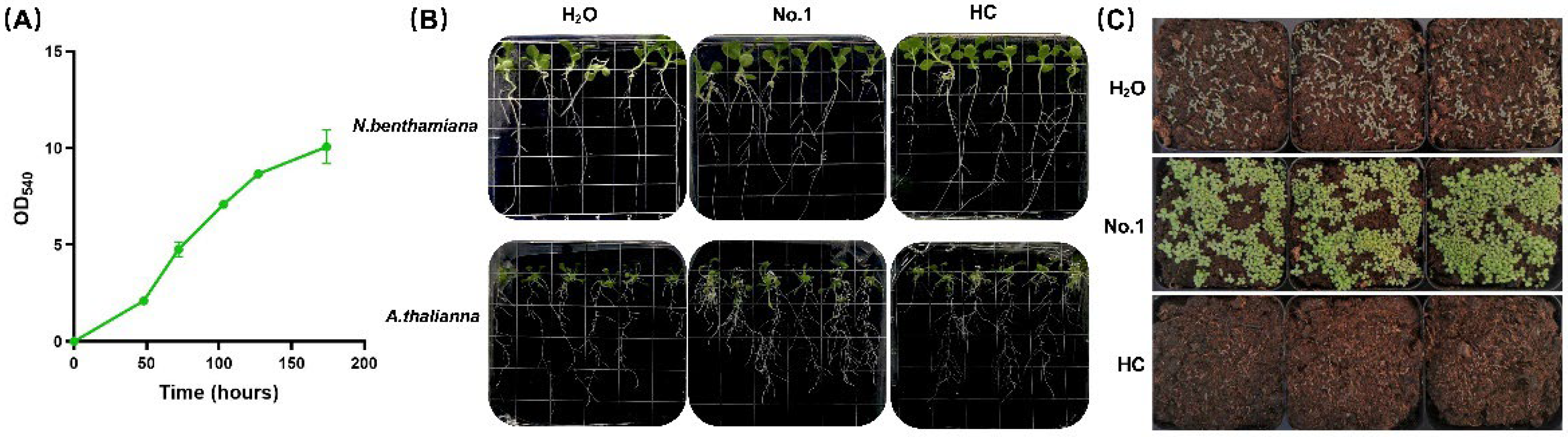 Marinedrugs 20 00569 g001