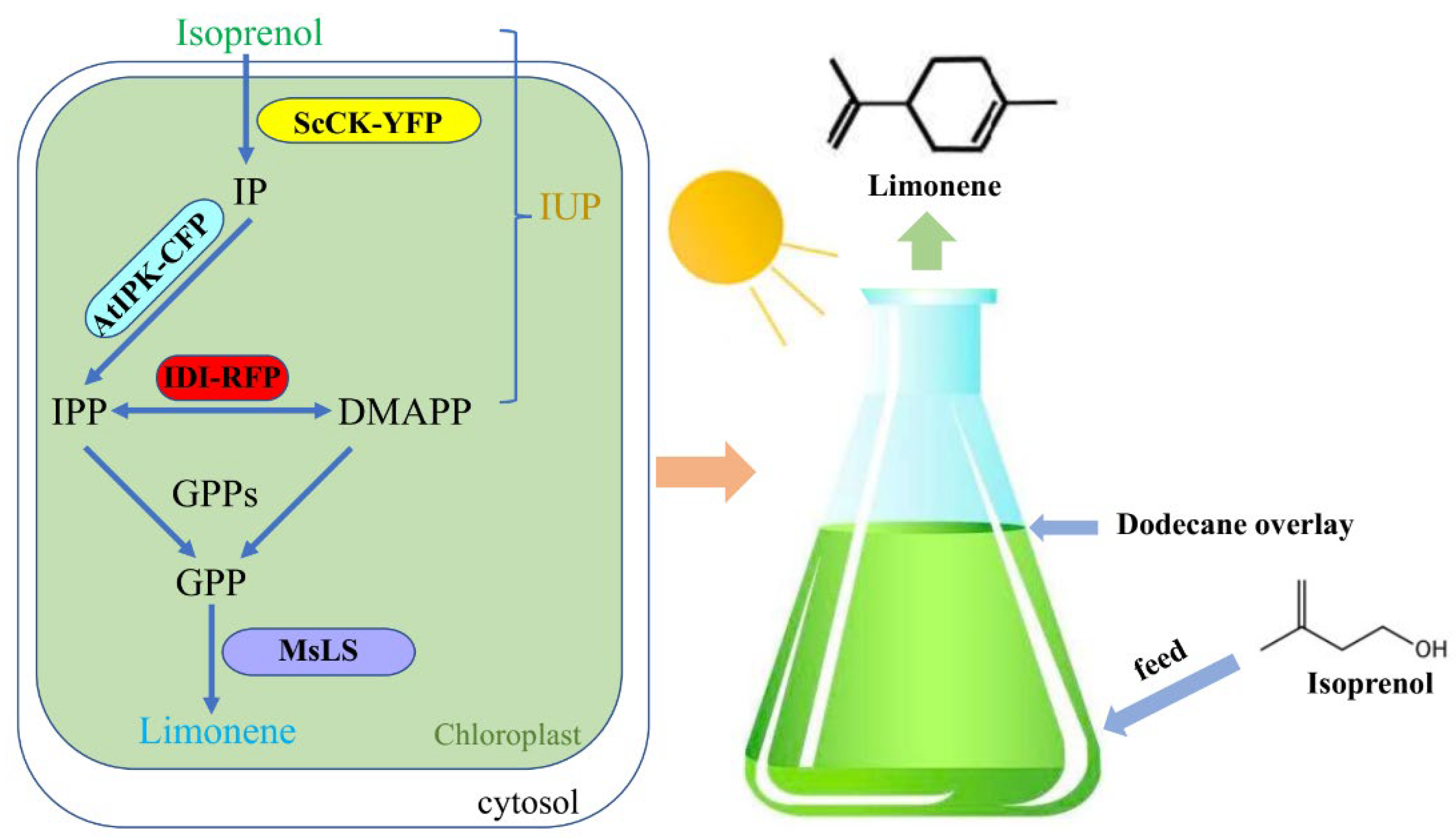 Marinedrugs 20 00577 g001 550