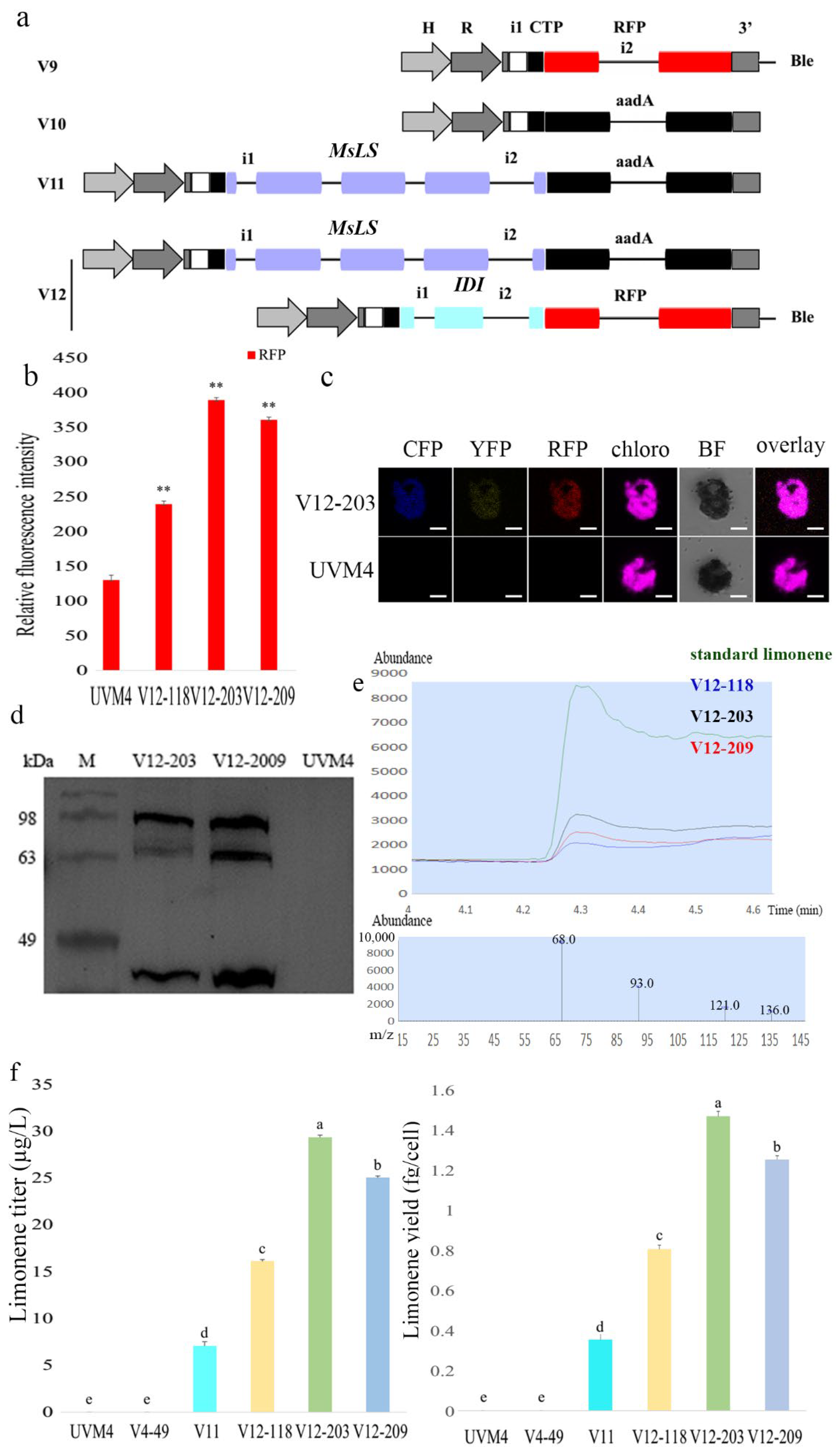 Marinedrugs 20 00577 g004 550