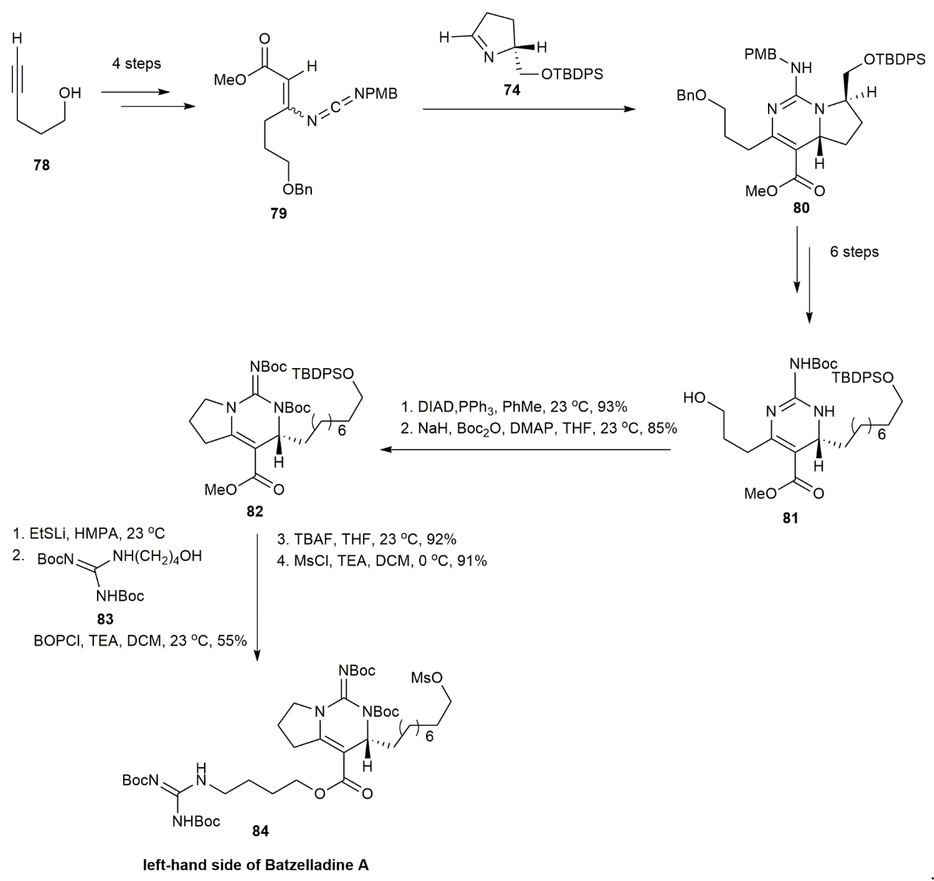 Marinedrugs 20 00579 g006 Marinedrugs 20 00579 g006