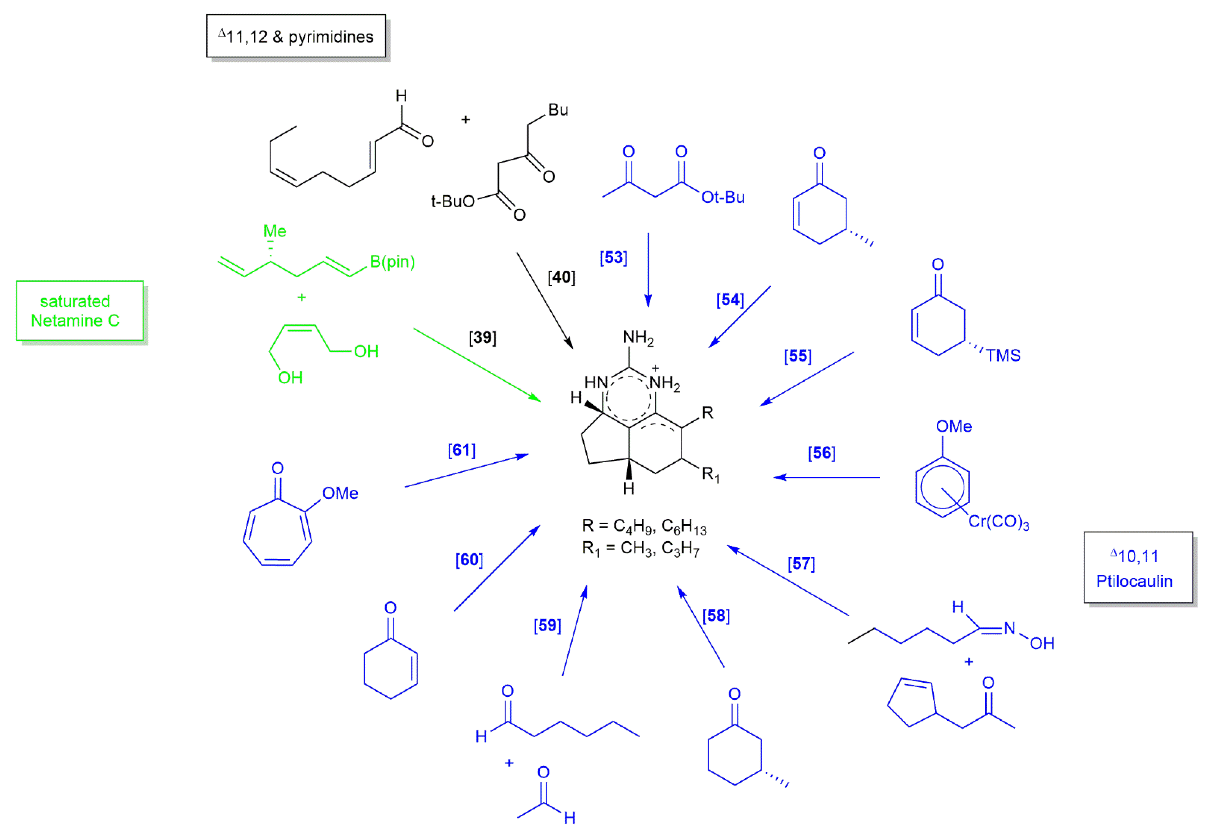 Marinedrugs 20 00579 g025 Marinedrugs 20 00579 g025