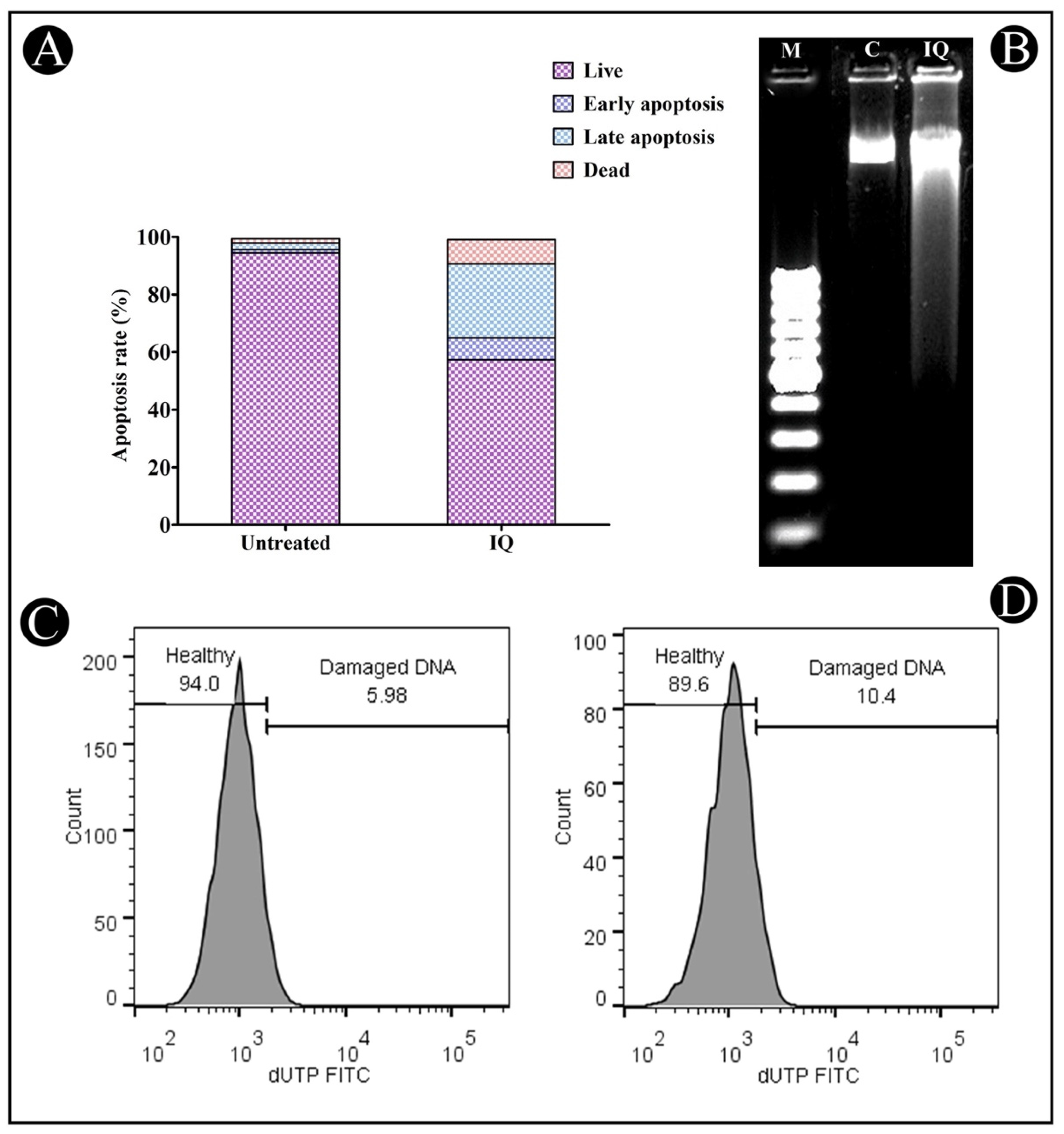 Marinedrugs 20 00582 g004 Marinedrugs 20 00582 g004