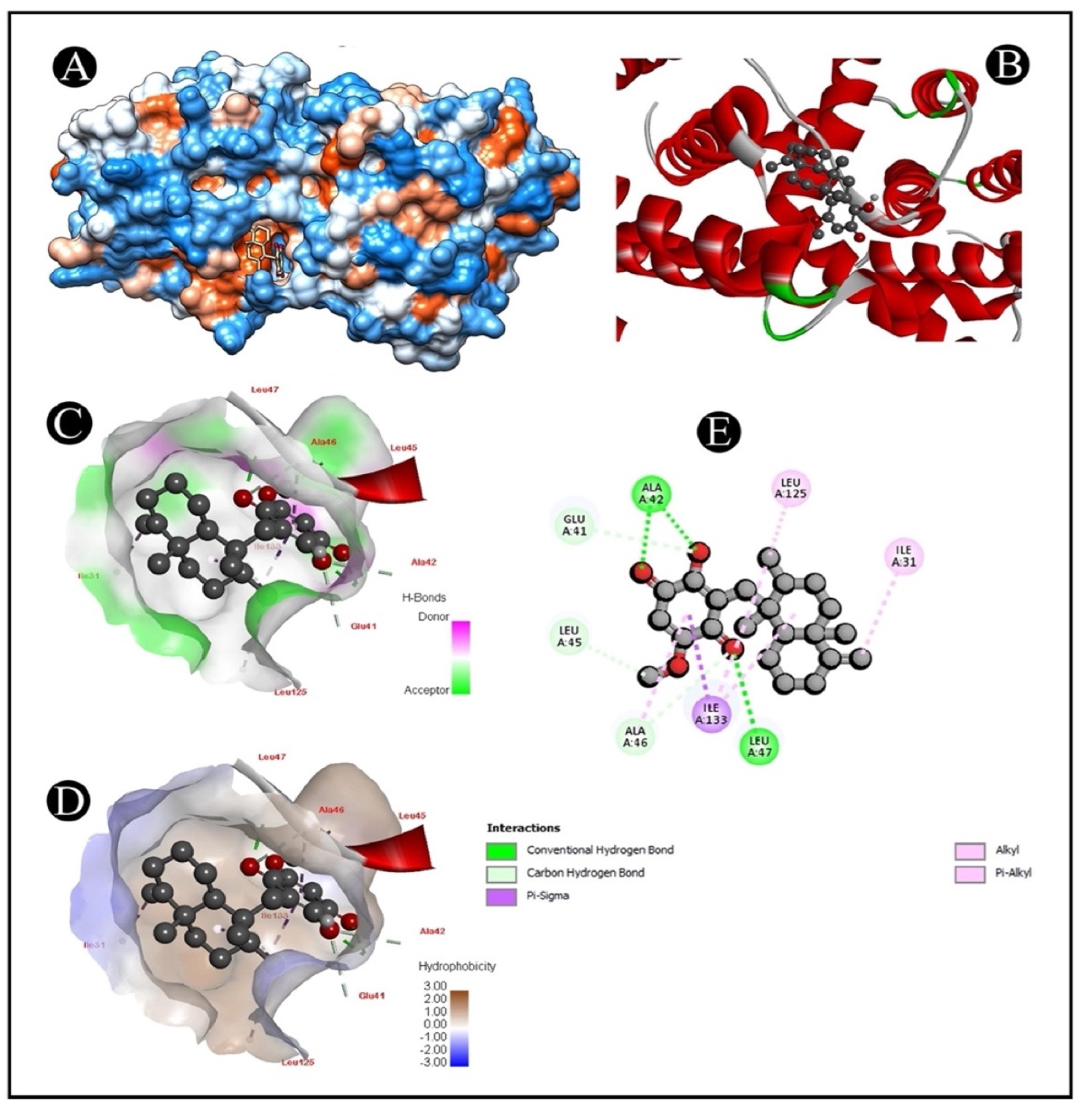 Marinedrugs 20 00582 g007 Marinedrugs 20 00582 g007