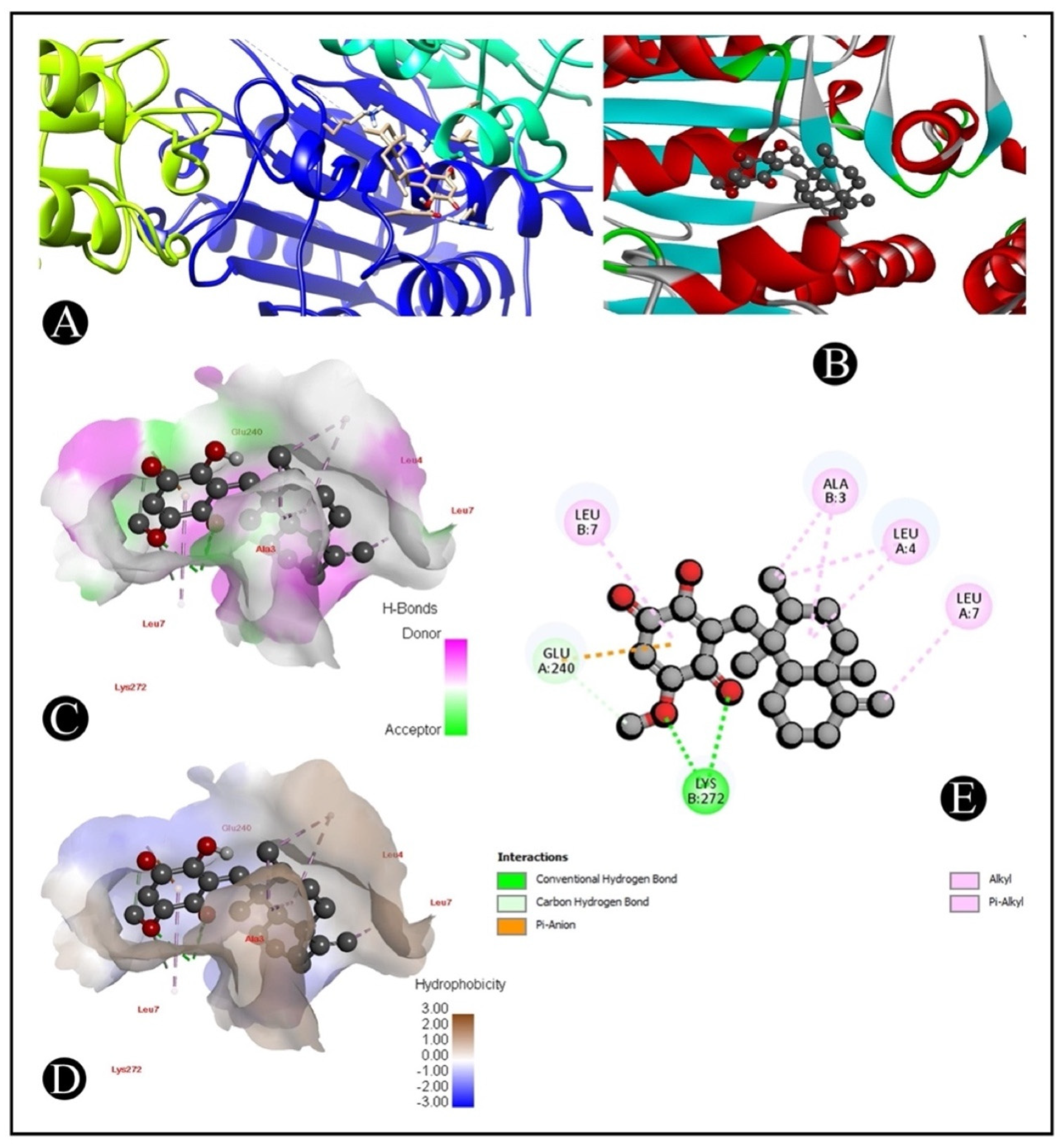 Marinedrugs 20 00582 g009 Marinedrugs 20 00582 g009