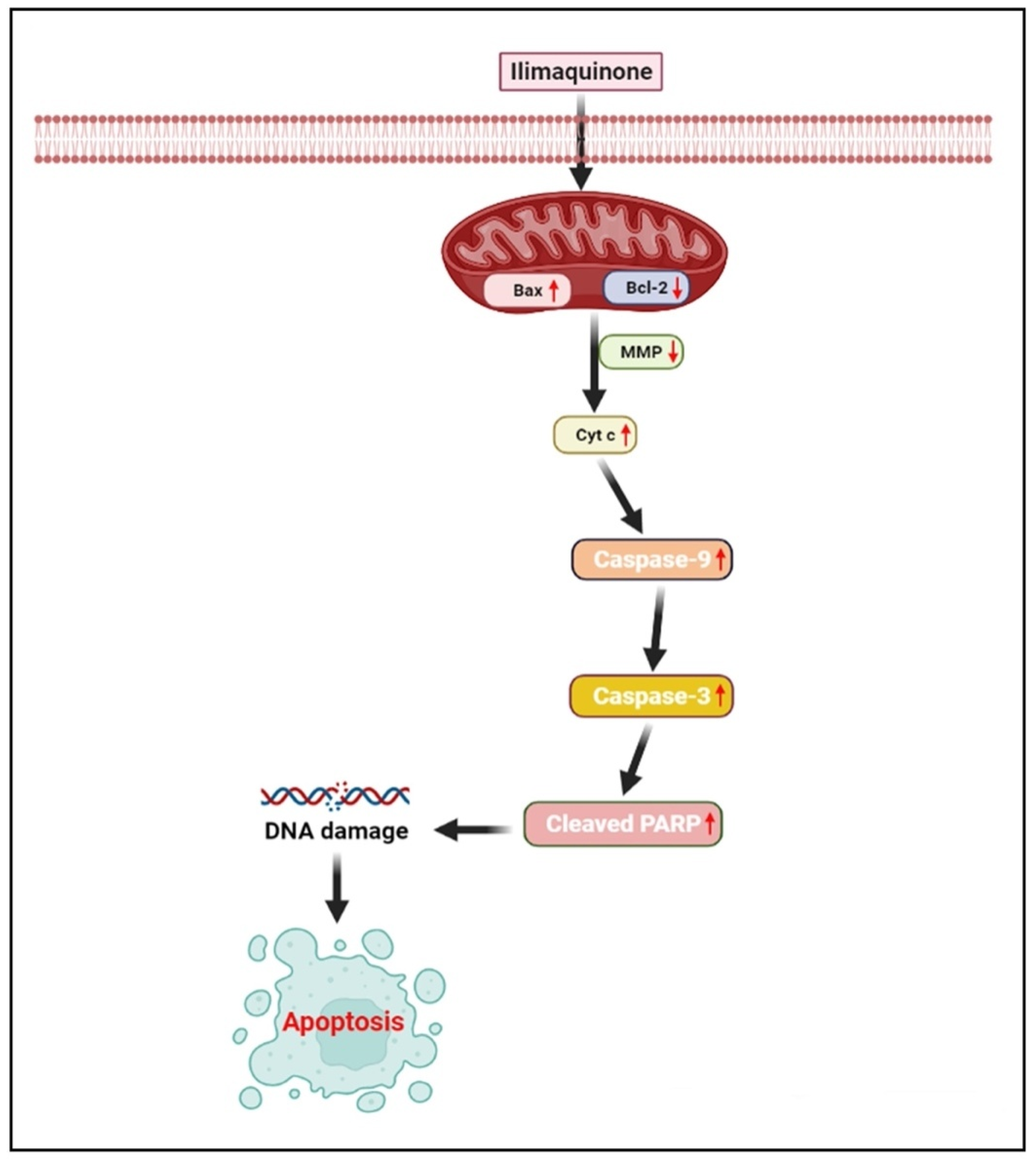 Marinedrugs 20 00582 g011 Marinedrugs 20 00582 g011