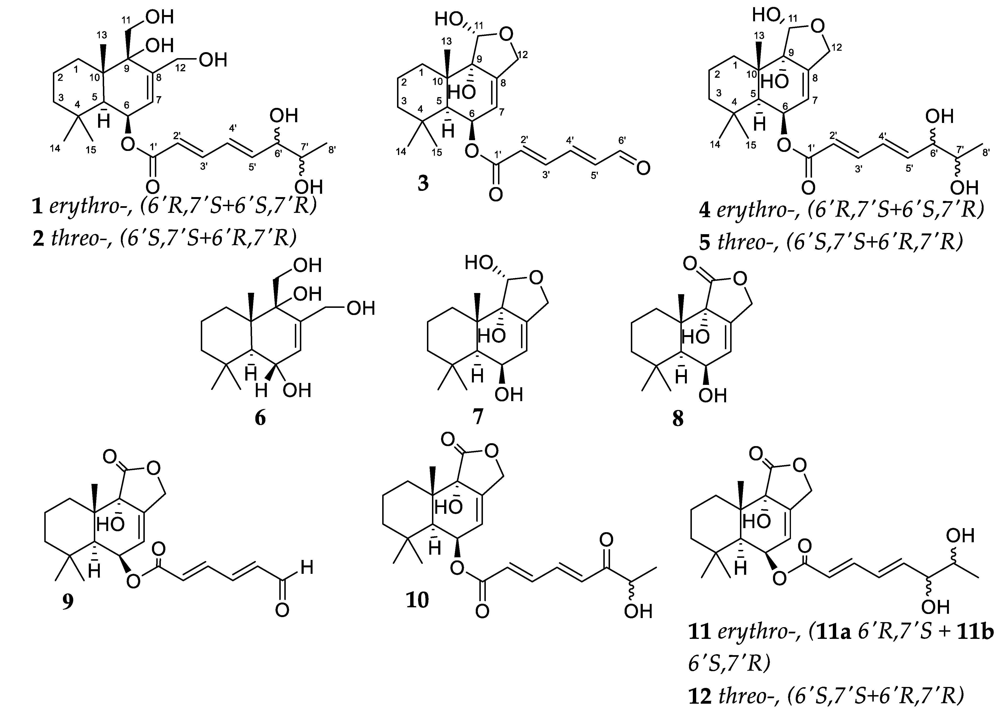 Marinedrugs 20 00584 g001