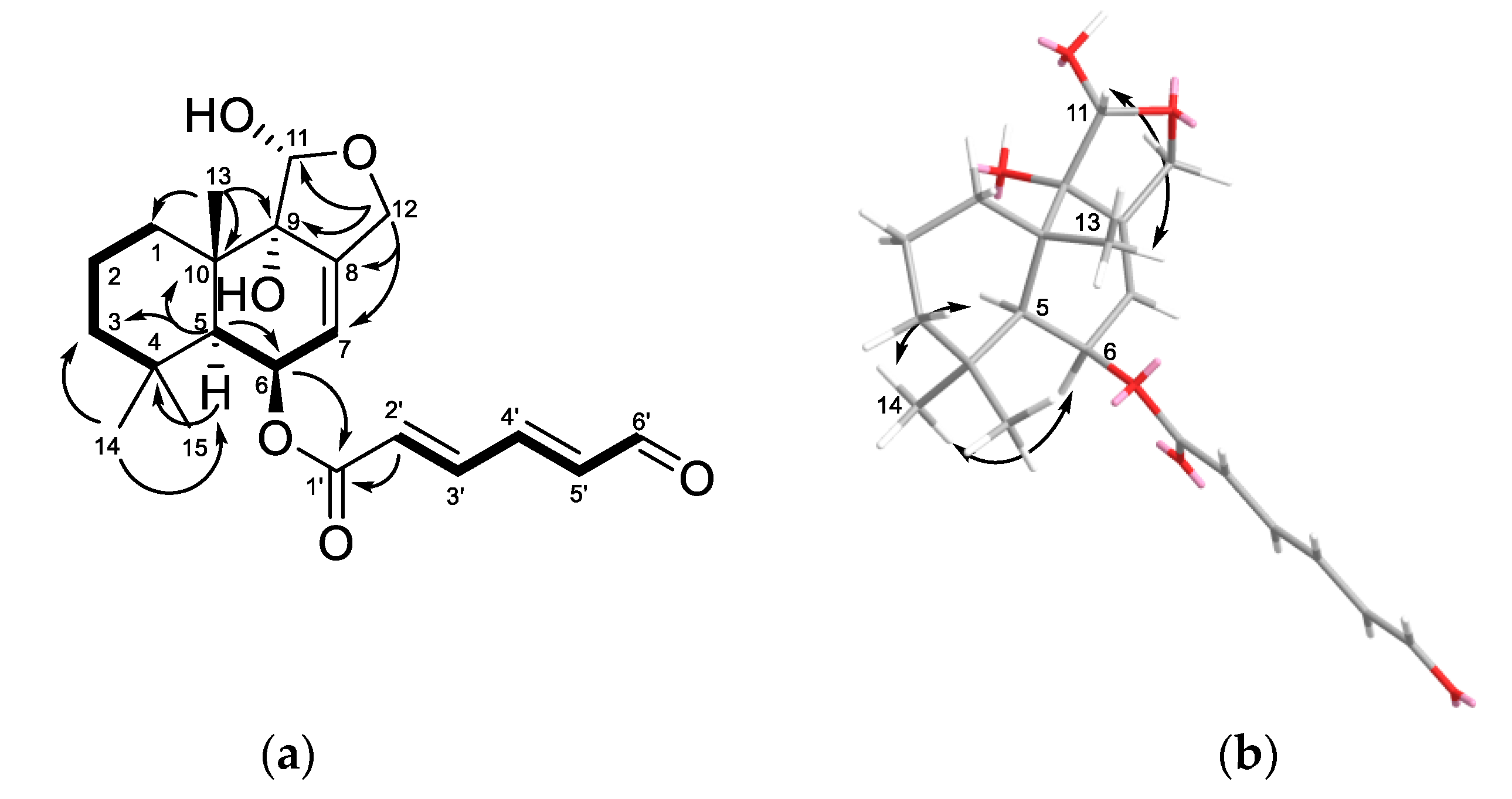 Marinedrugs 20 00584 g003