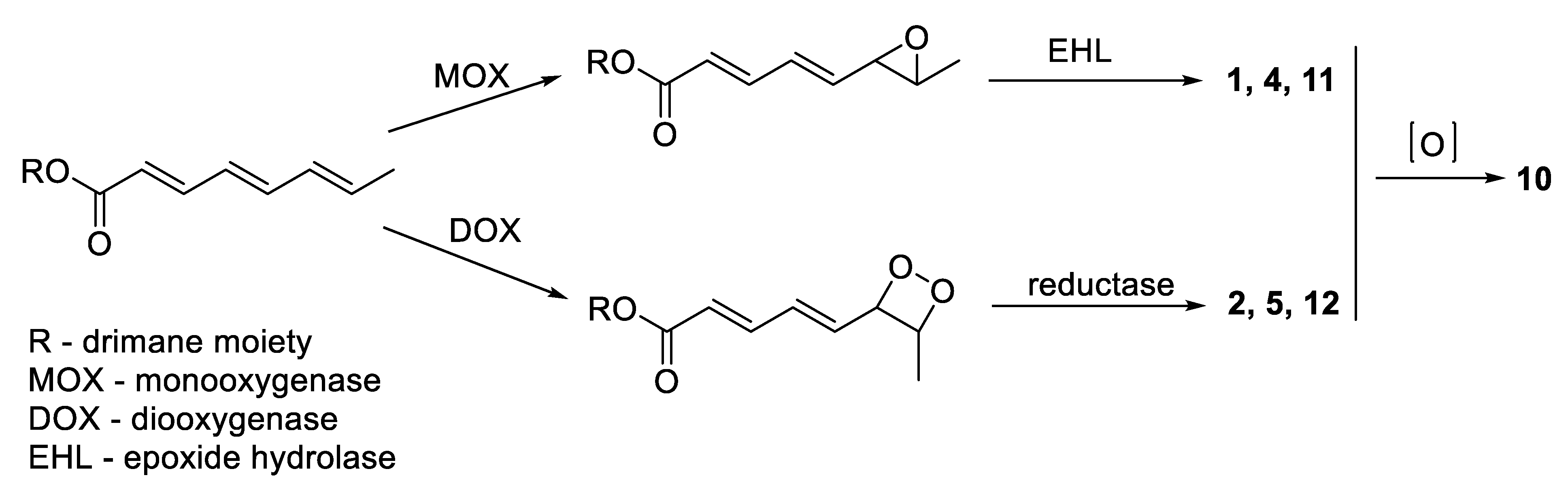 Marinedrugs 20 00584 g004