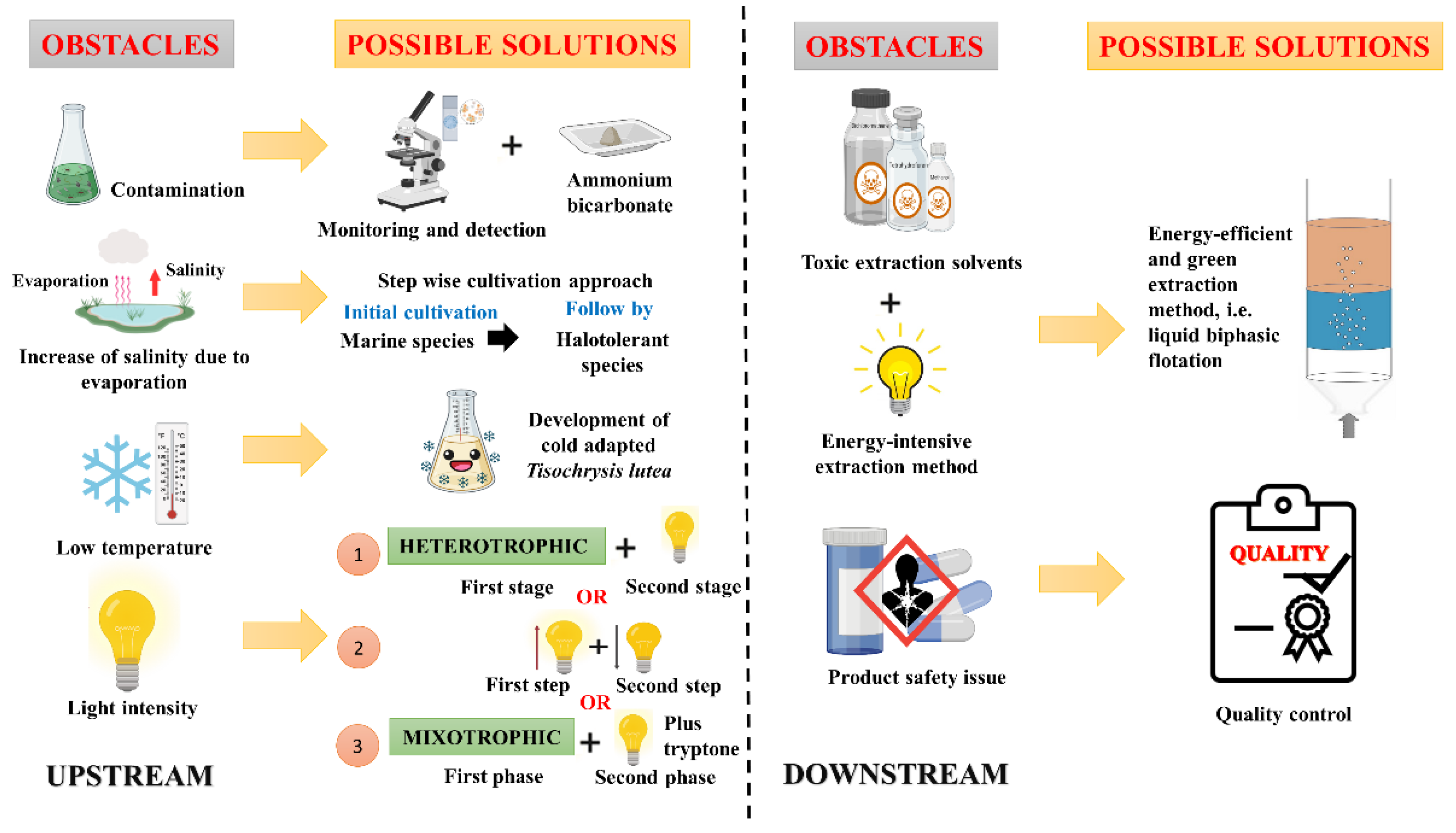 Marinedrugs 20 00592 g002