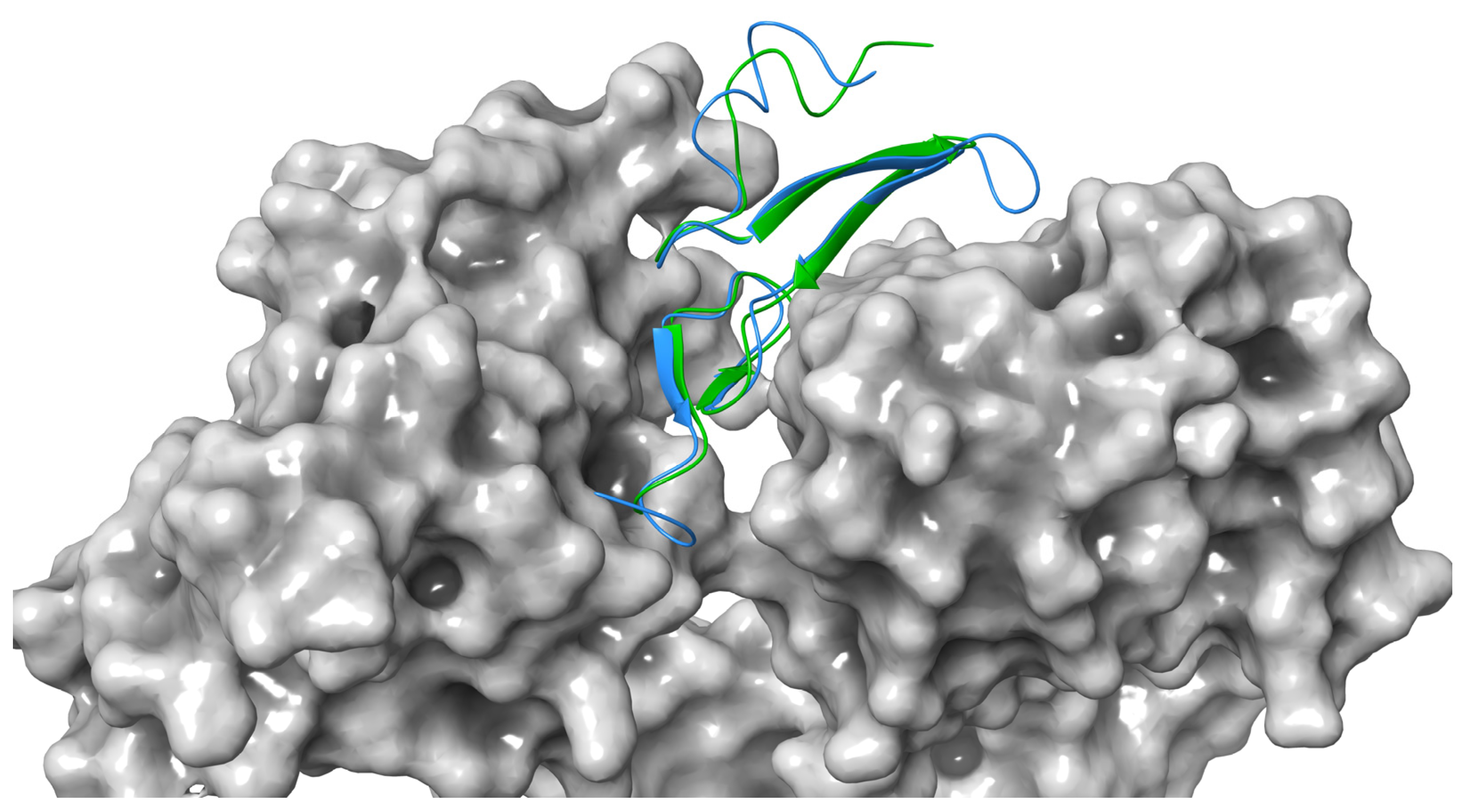 Marinedrugs 20 00596 g003 Marinedrugs 20 00596 g003