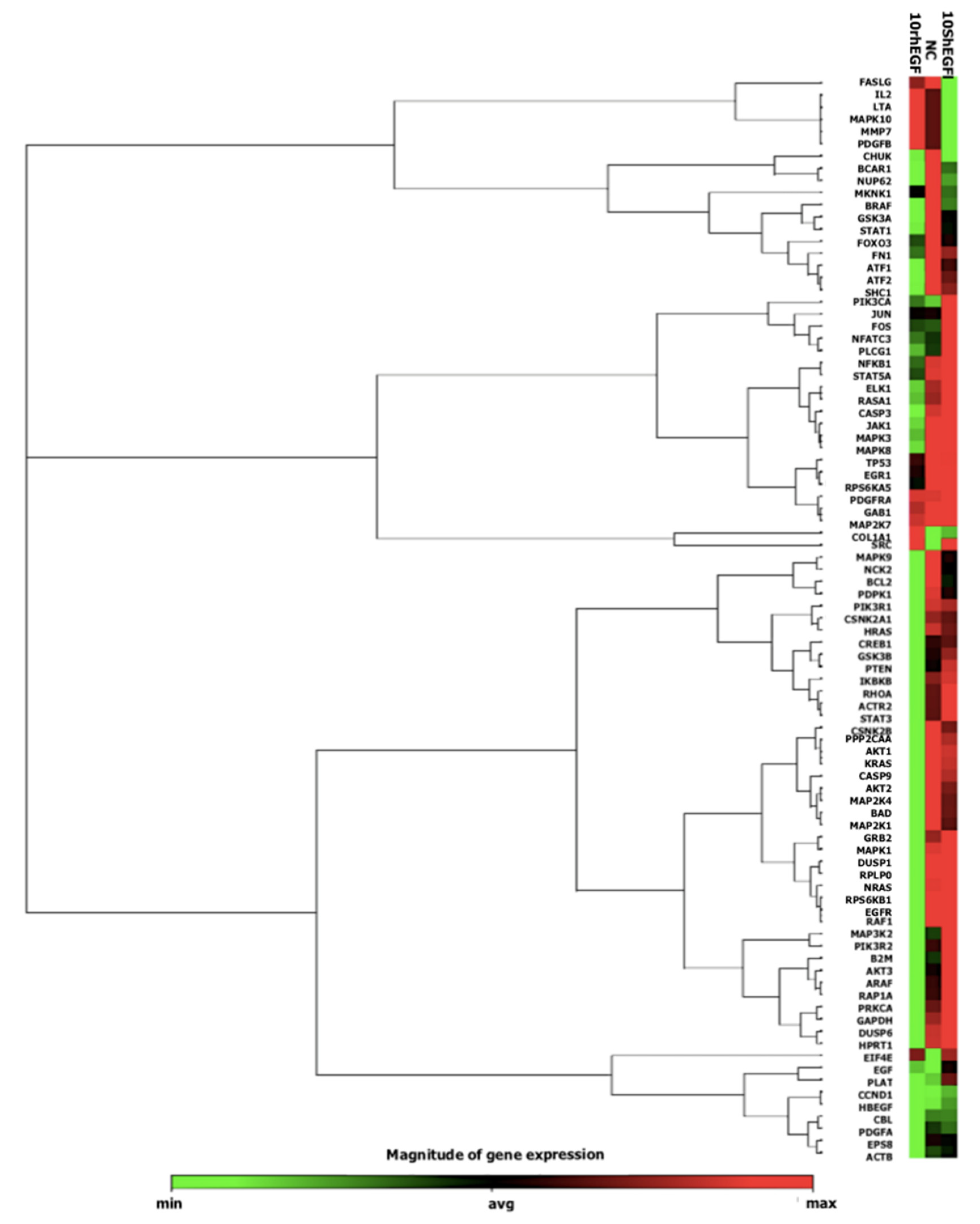Marinedrugs 20 00596 g009 Marinedrugs 20 00596 g009