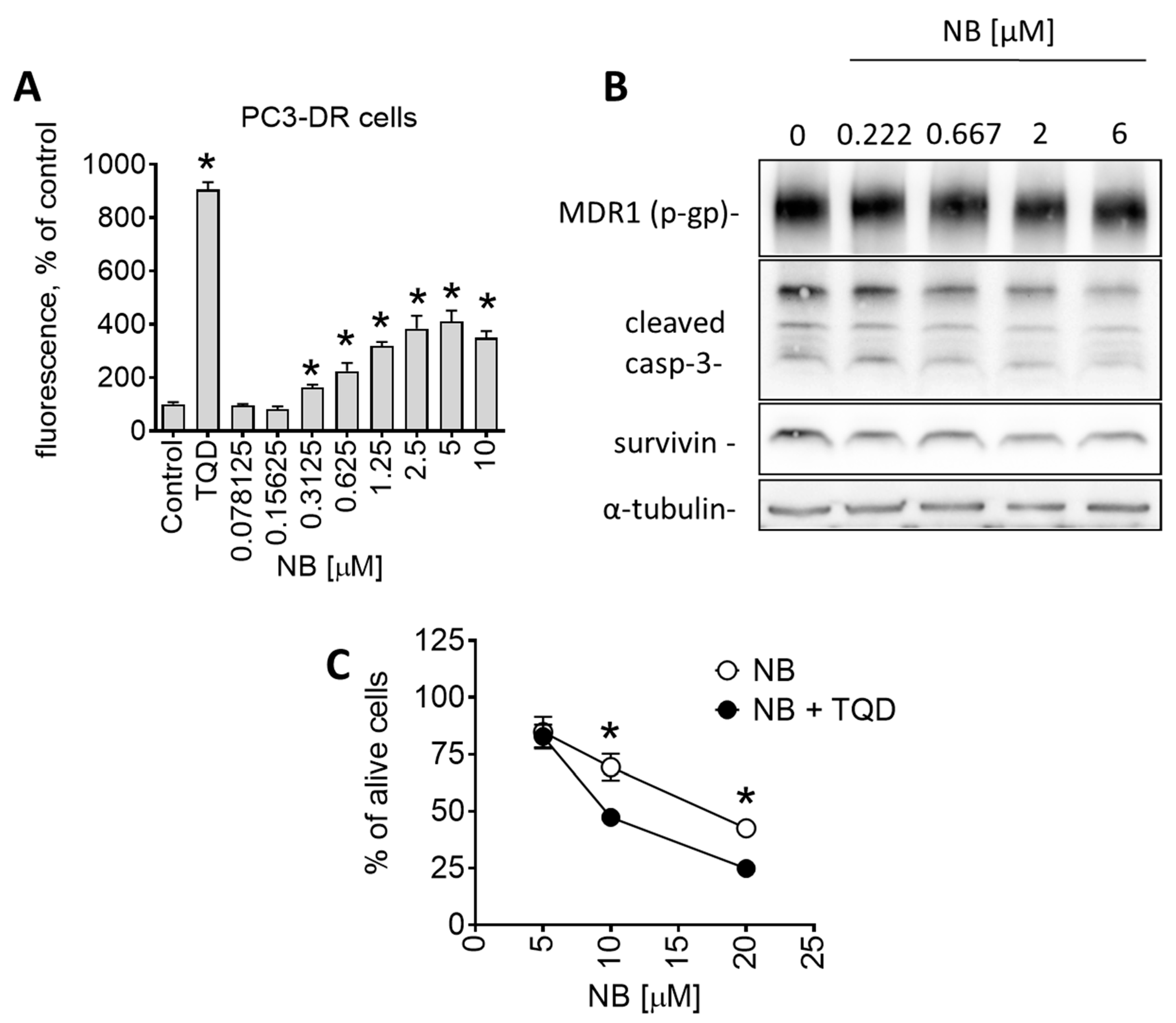 Marinedrugs 20 00597 g008 Marinedrugs 20 00597 g008