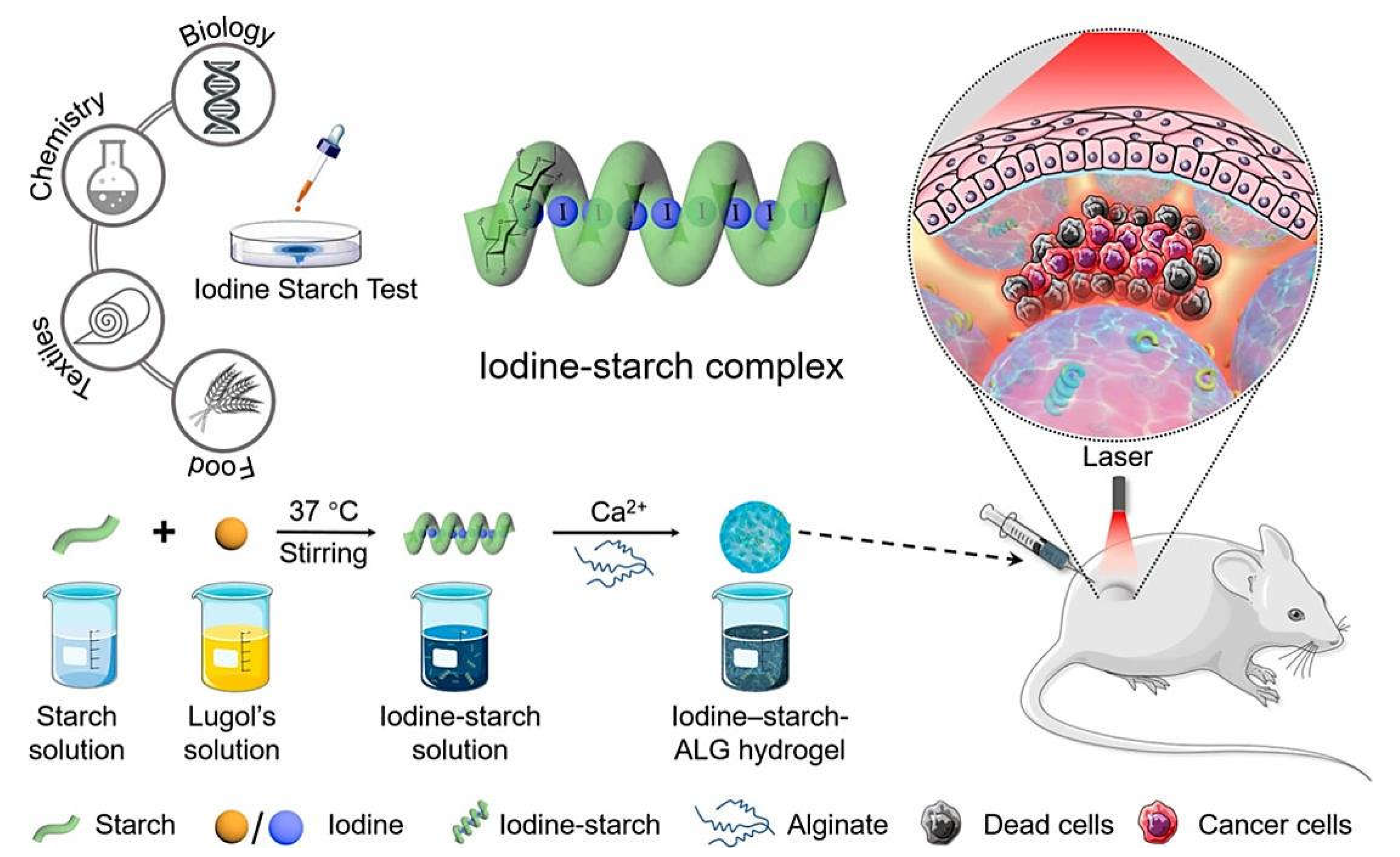 Marinedrugs 20 00598 g006 550