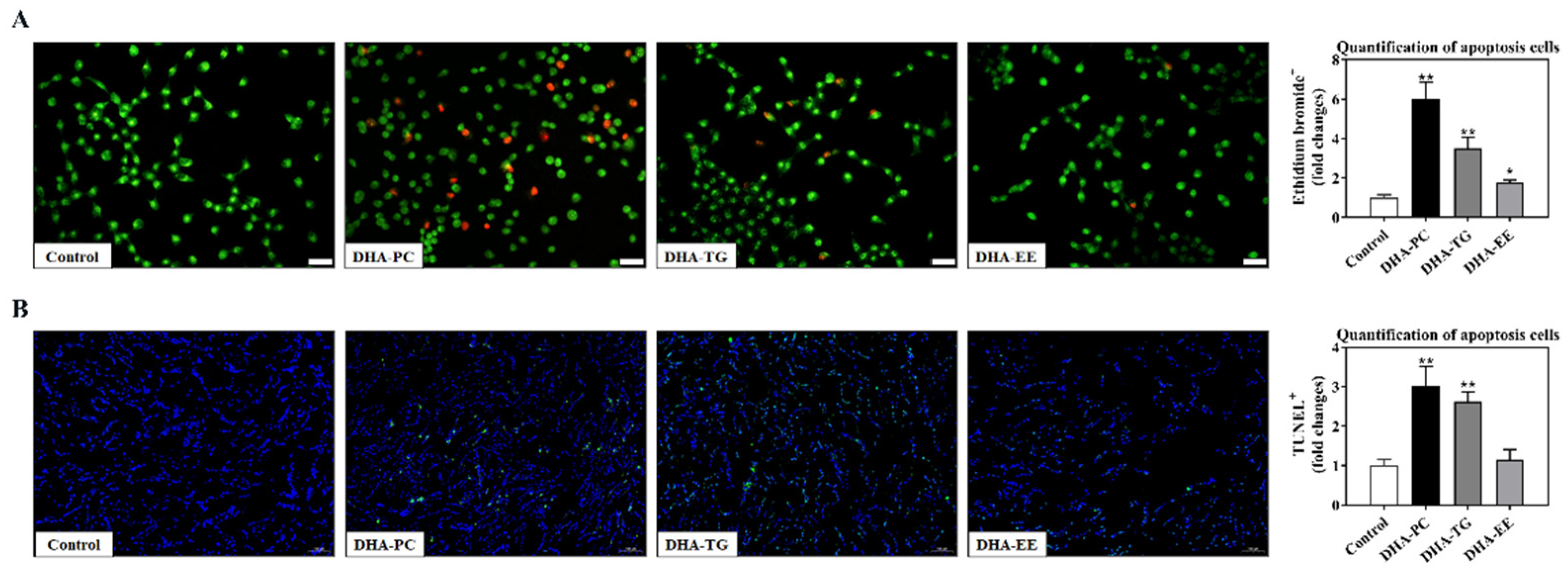 Marinedrugs 20 00599 g003 Marinedrugs 20 00599 g003