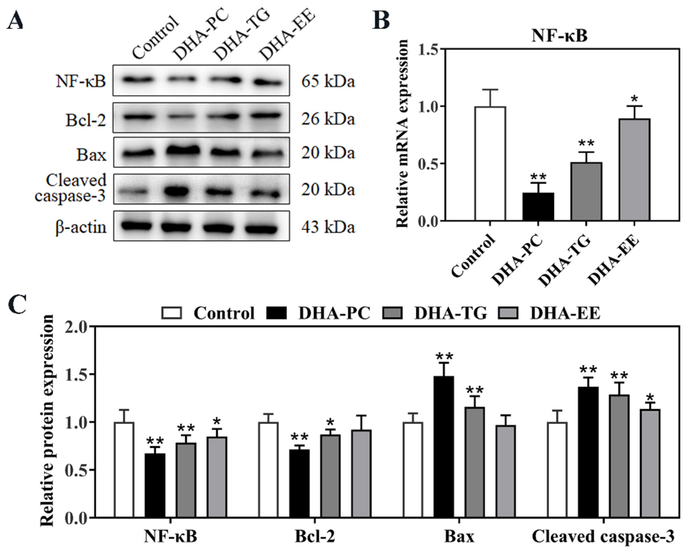 Marinedrugs 20 00599 g005 Marinedrugs 20 00599 g005