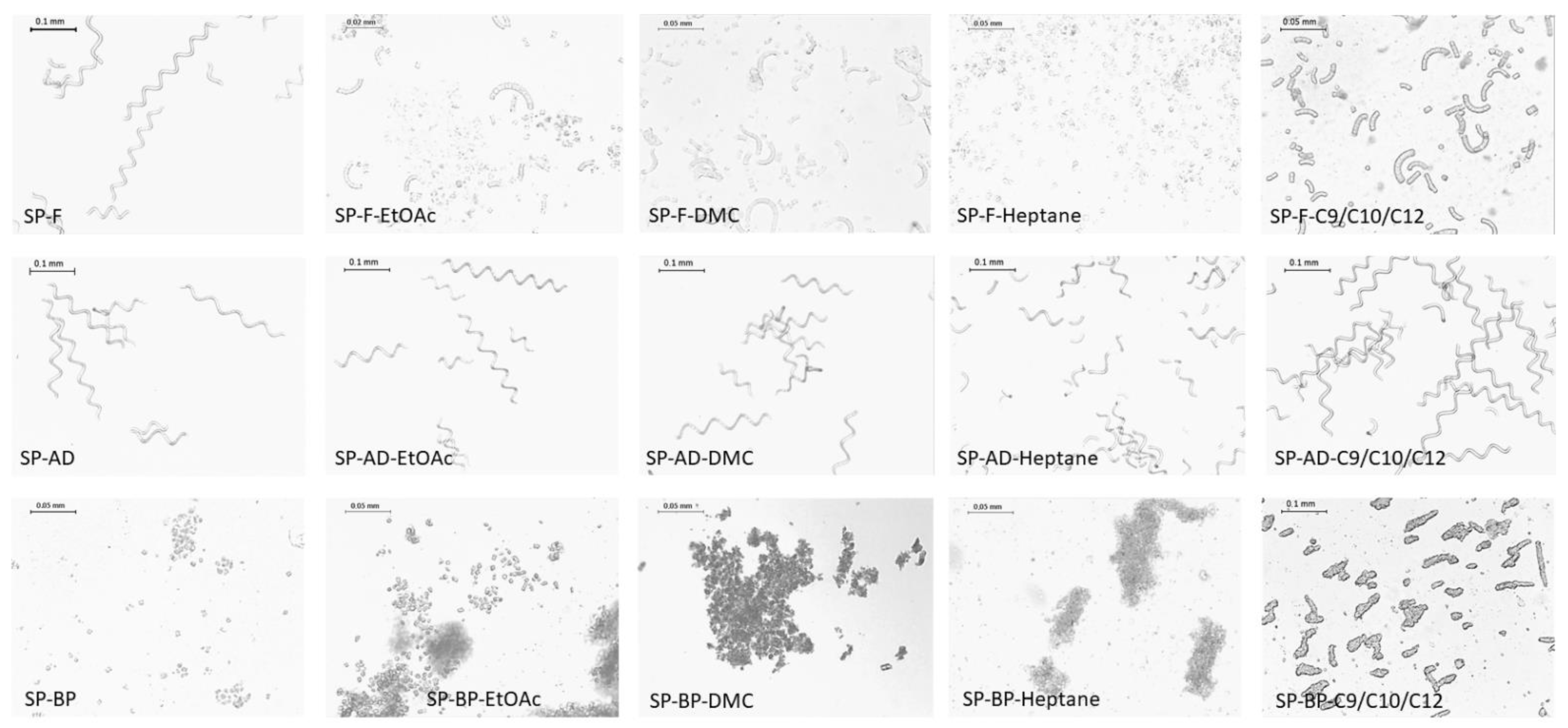 Marinedrugs 20 00600 g005