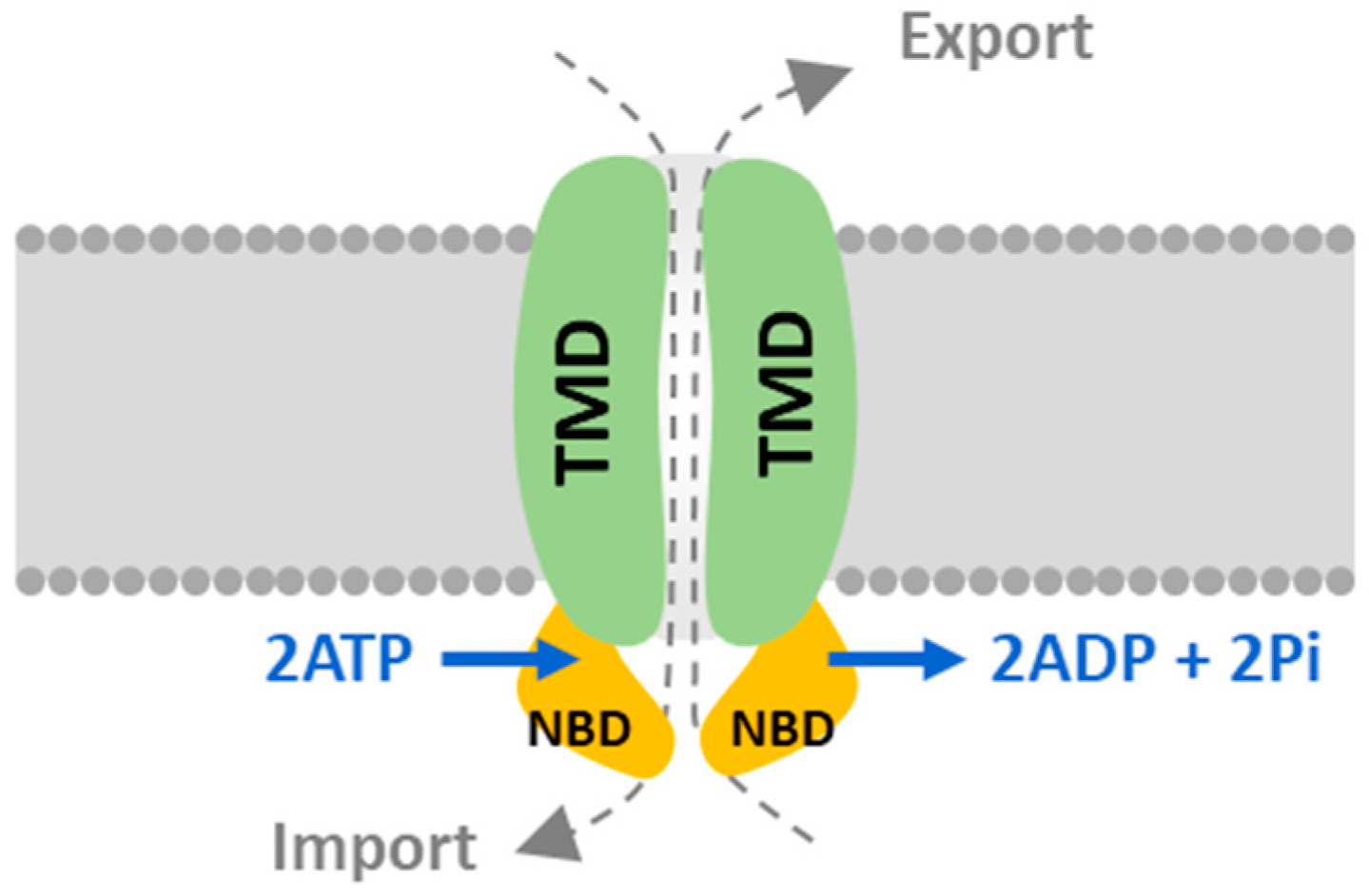 Marinedrugs 20 00603 g001