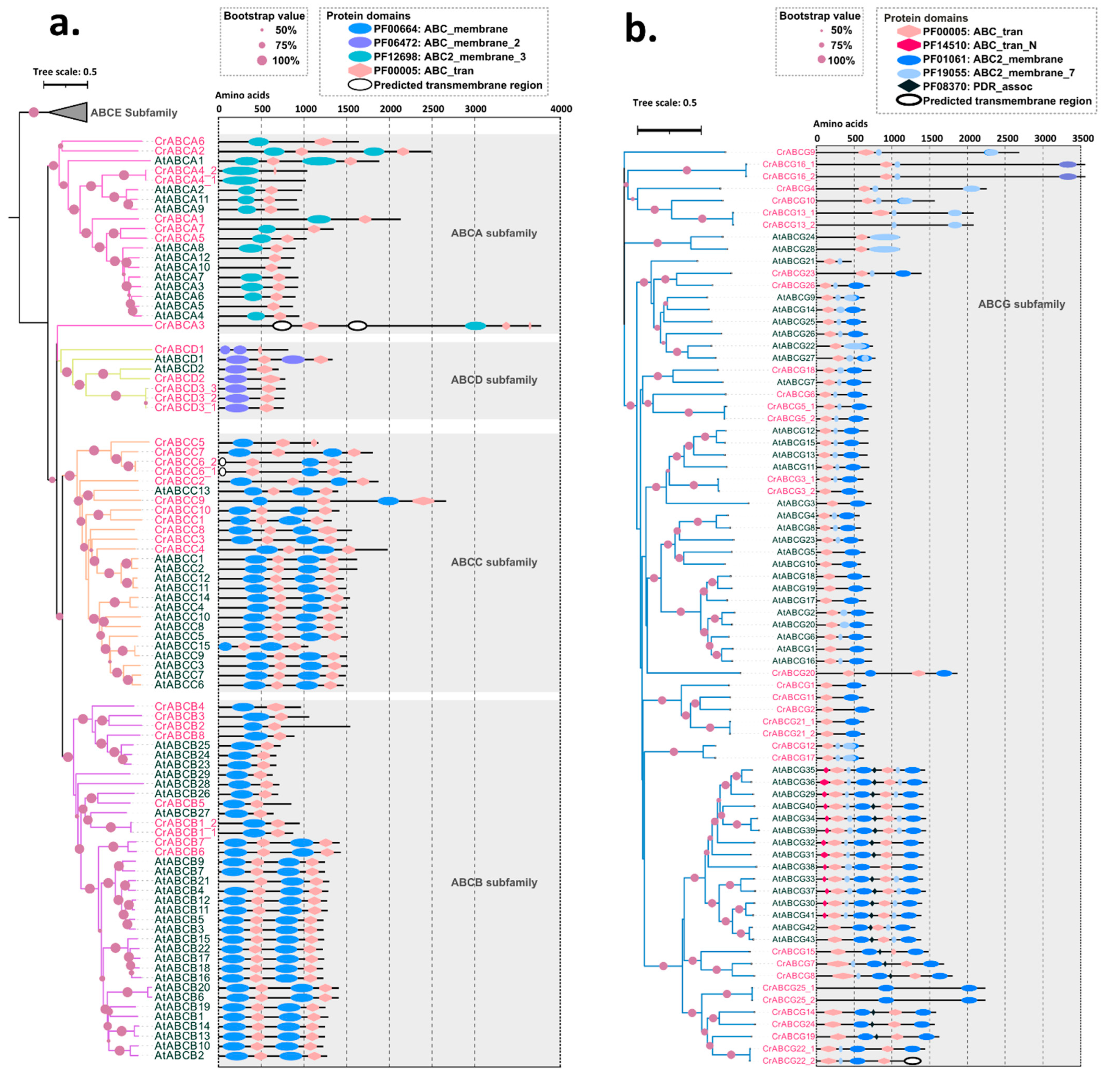 Marinedrugs 20 00603 g002