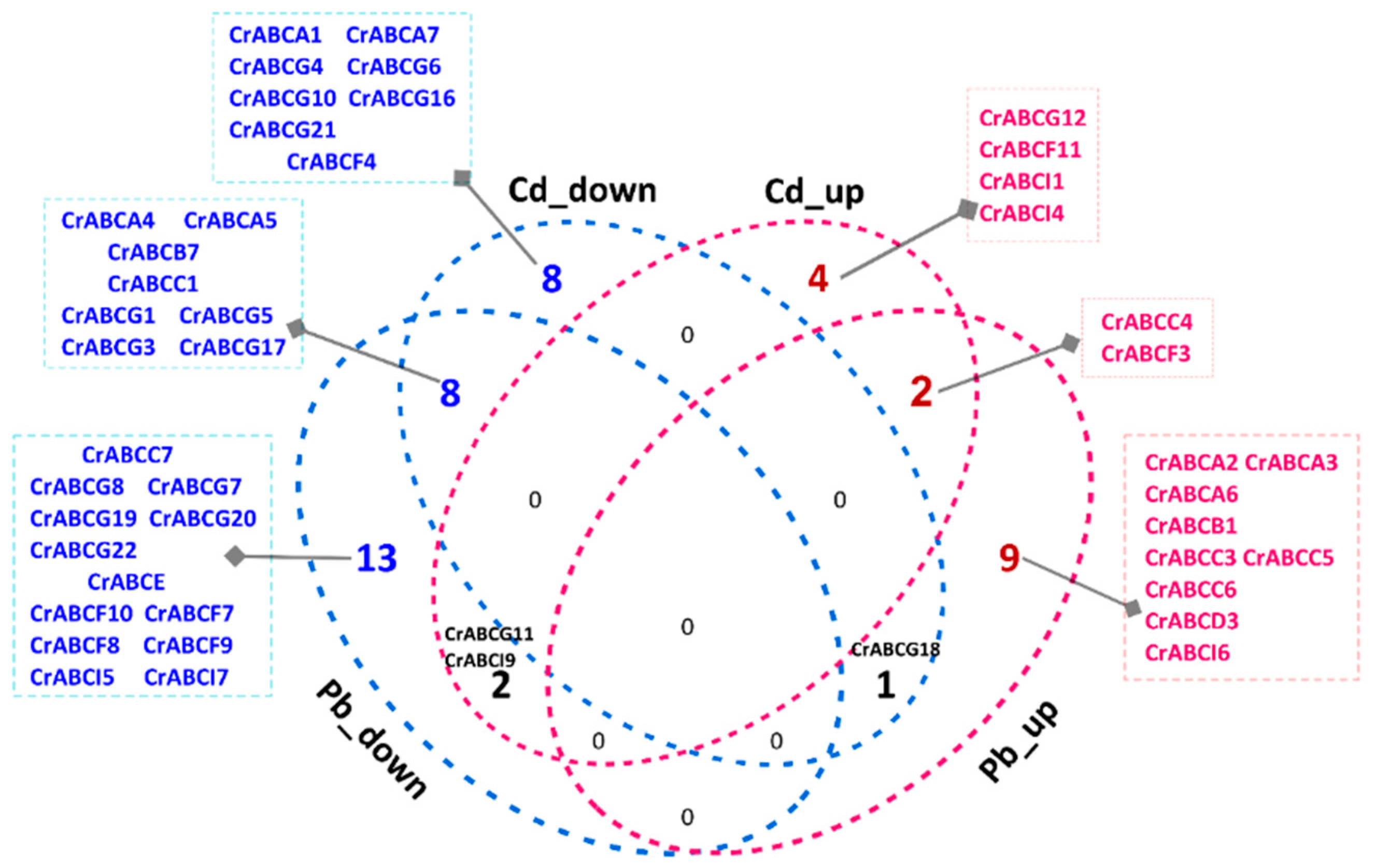 Marinedrugs 20 00603 g006