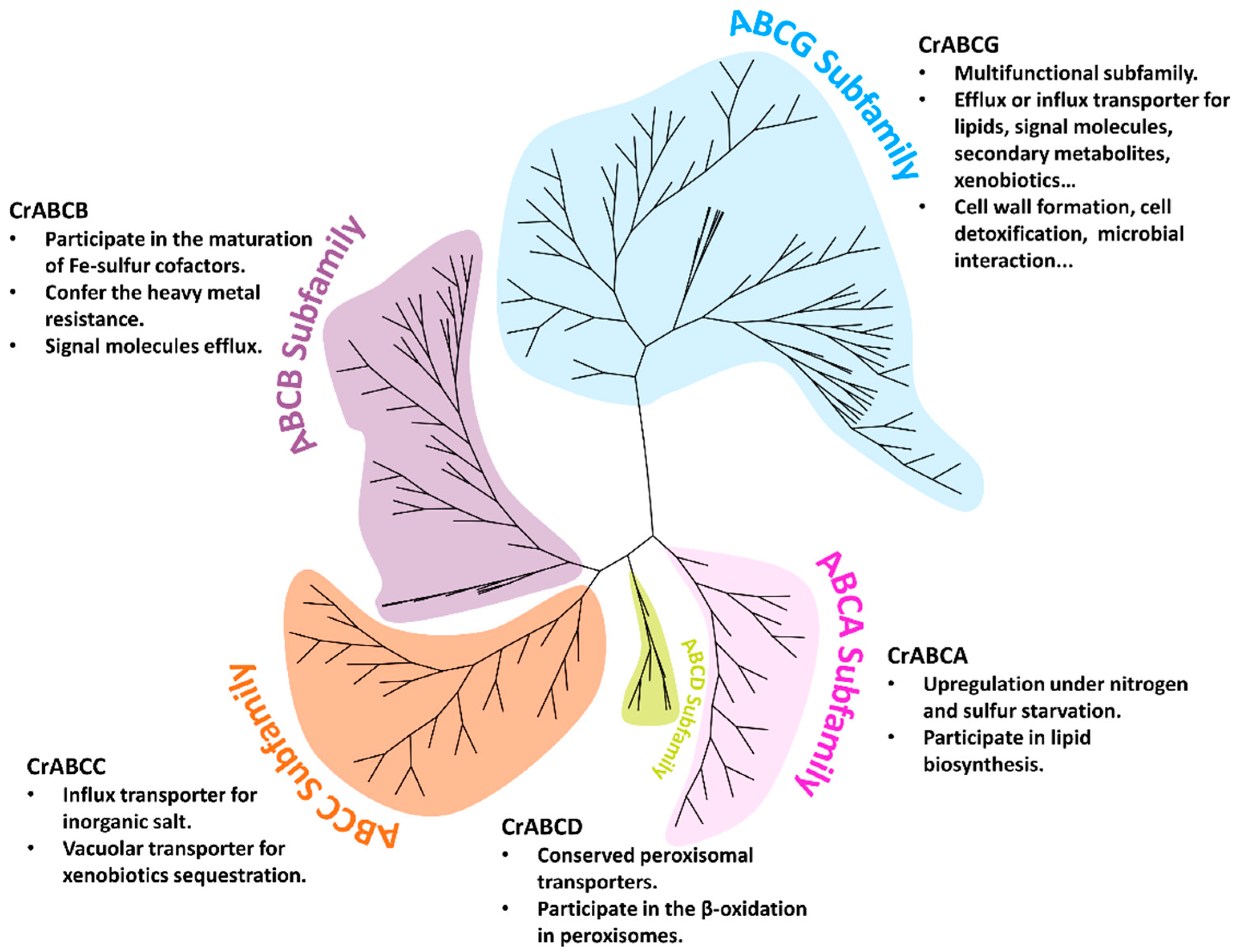 Marinedrugs 20 00603 g008