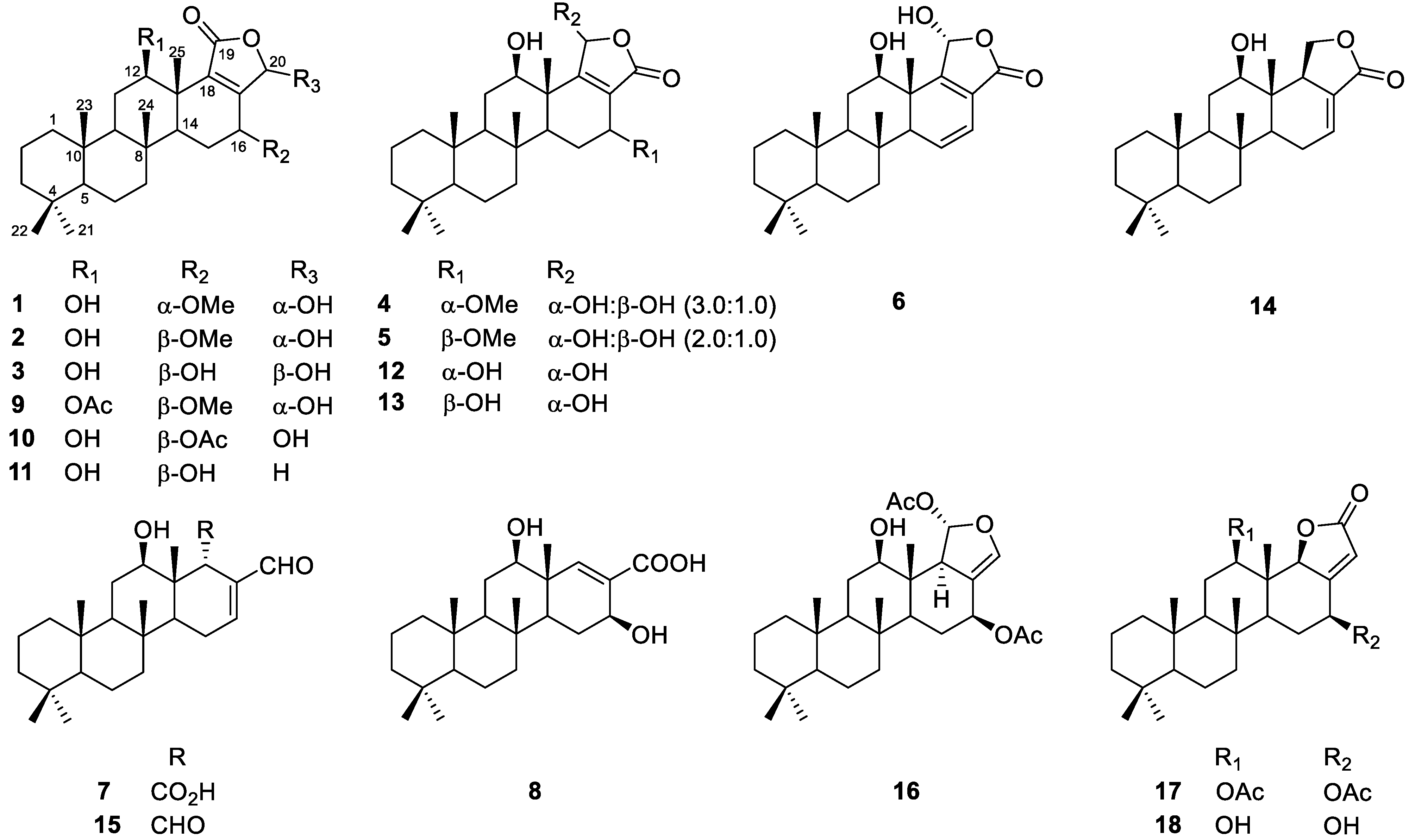 Marinedrugs 20 00604 g001