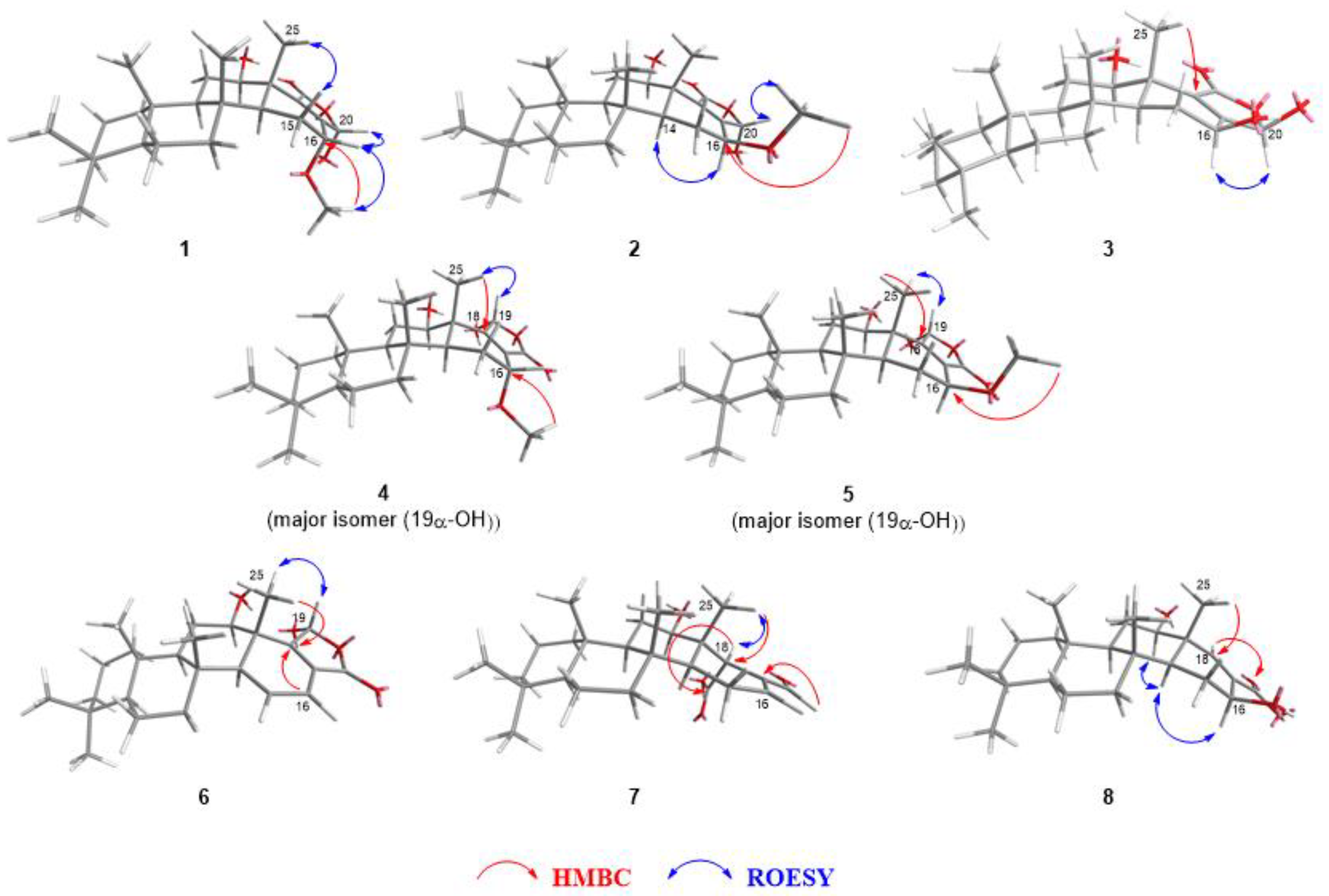 Marinedrugs 20 00604 g002