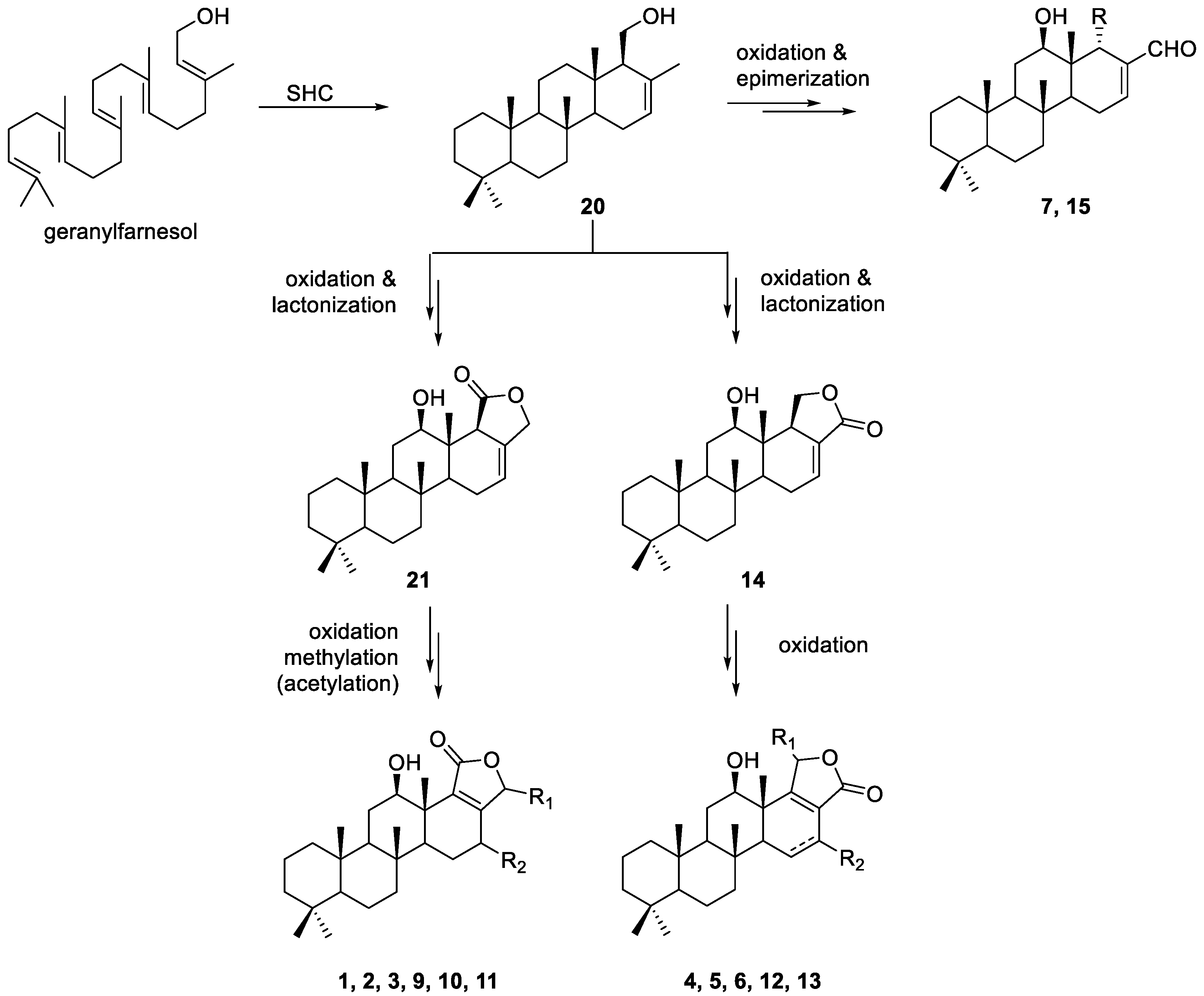 Marinedrugs 20 00604 g004