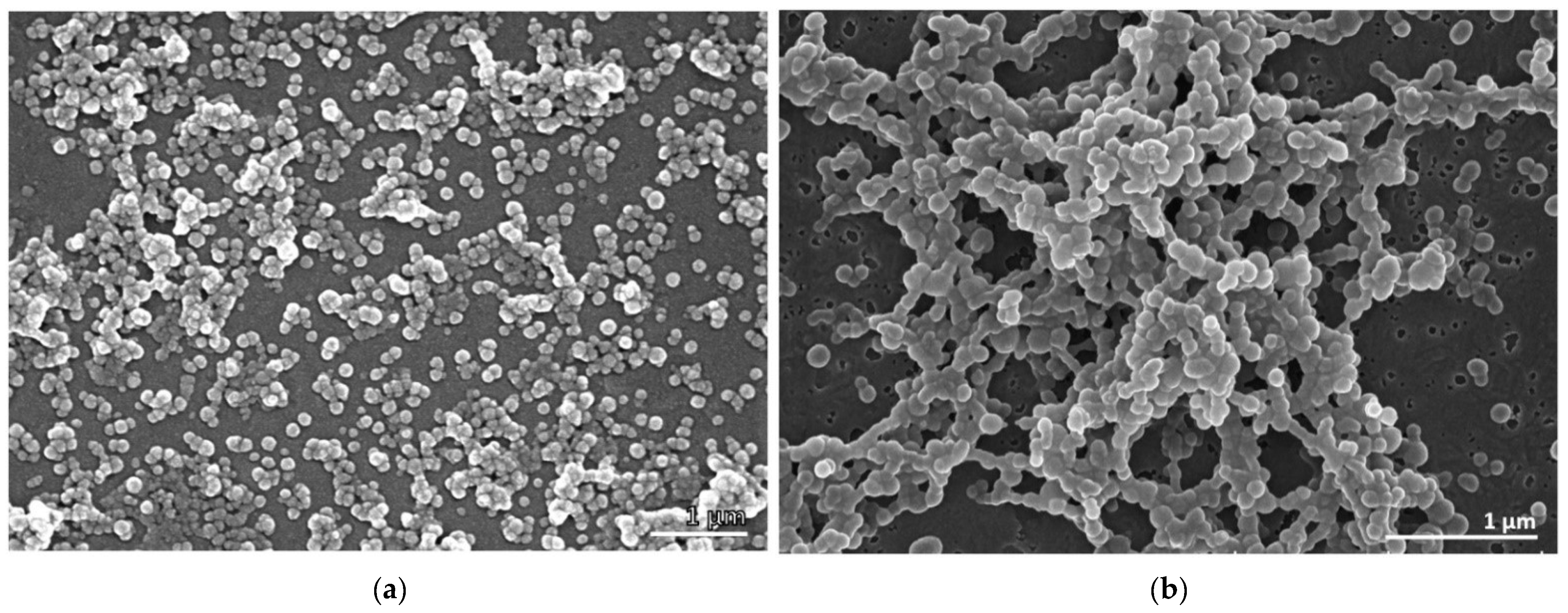 Marinedrugs 20 00608 g001 Marinedrugs 20 00608 g001