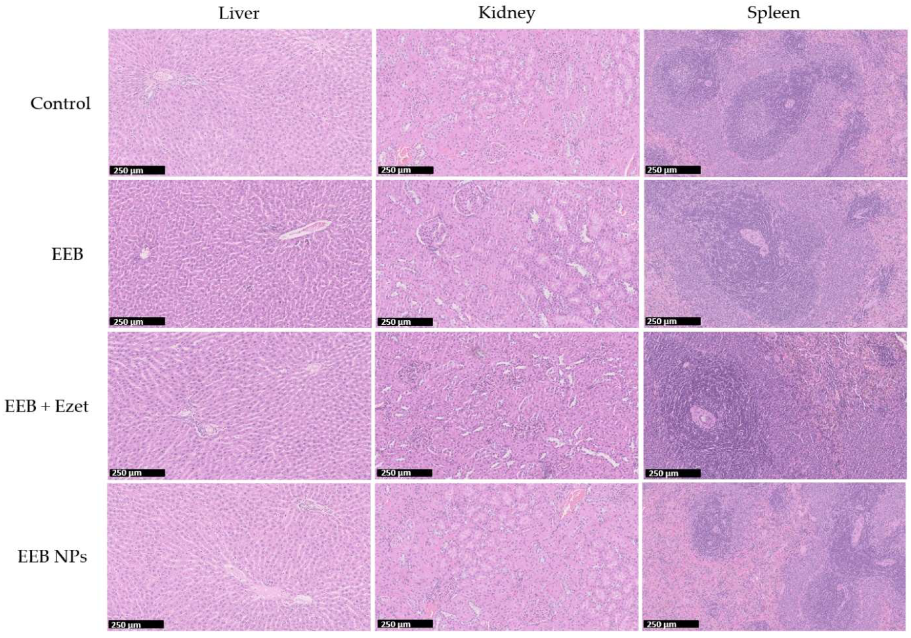 Marinedrugs 20 00608 g010 Marinedrugs 20 00608 g010