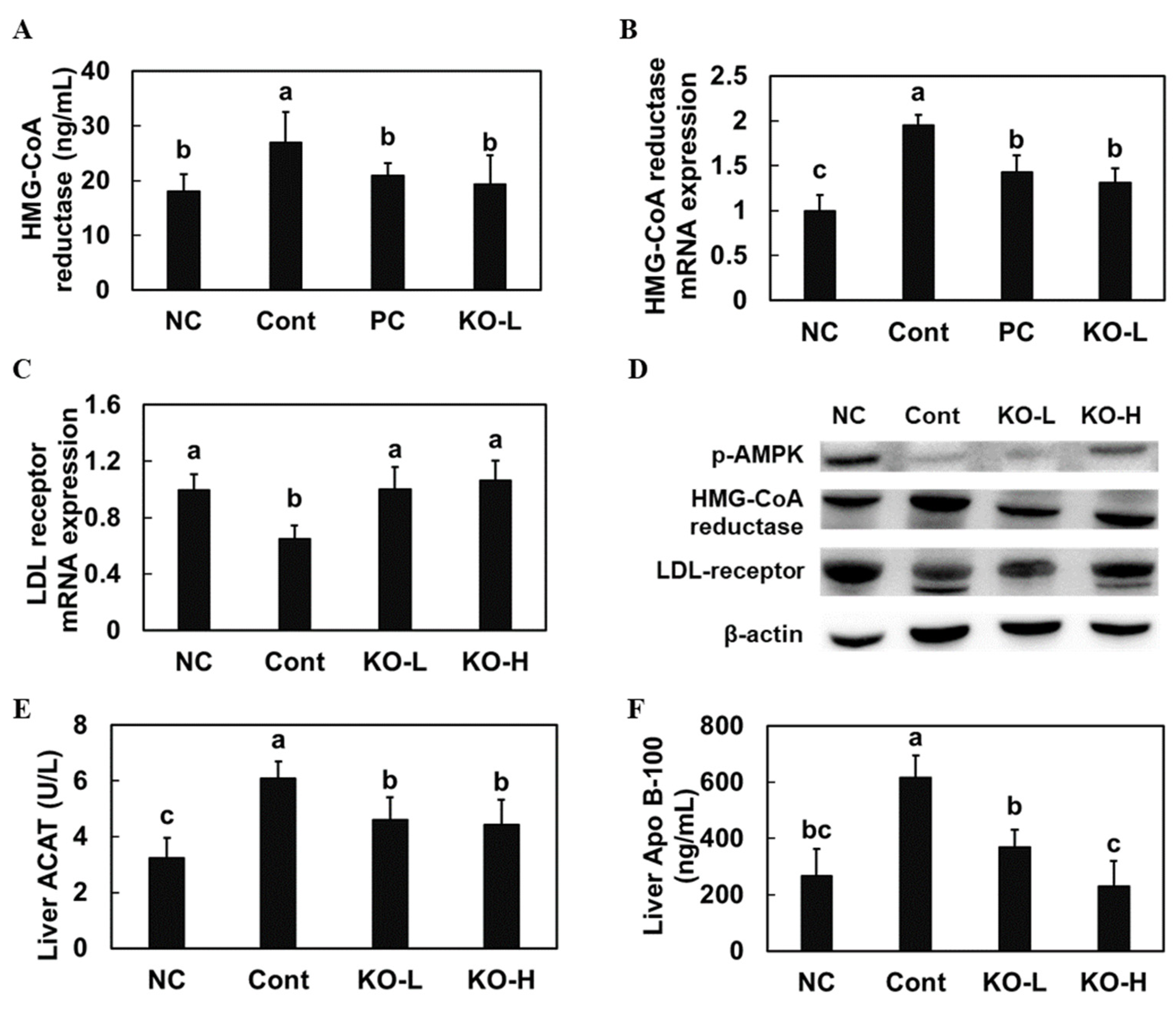 Marinedrugs 20 00609 g002 Marinedrugs 20 00609 g002