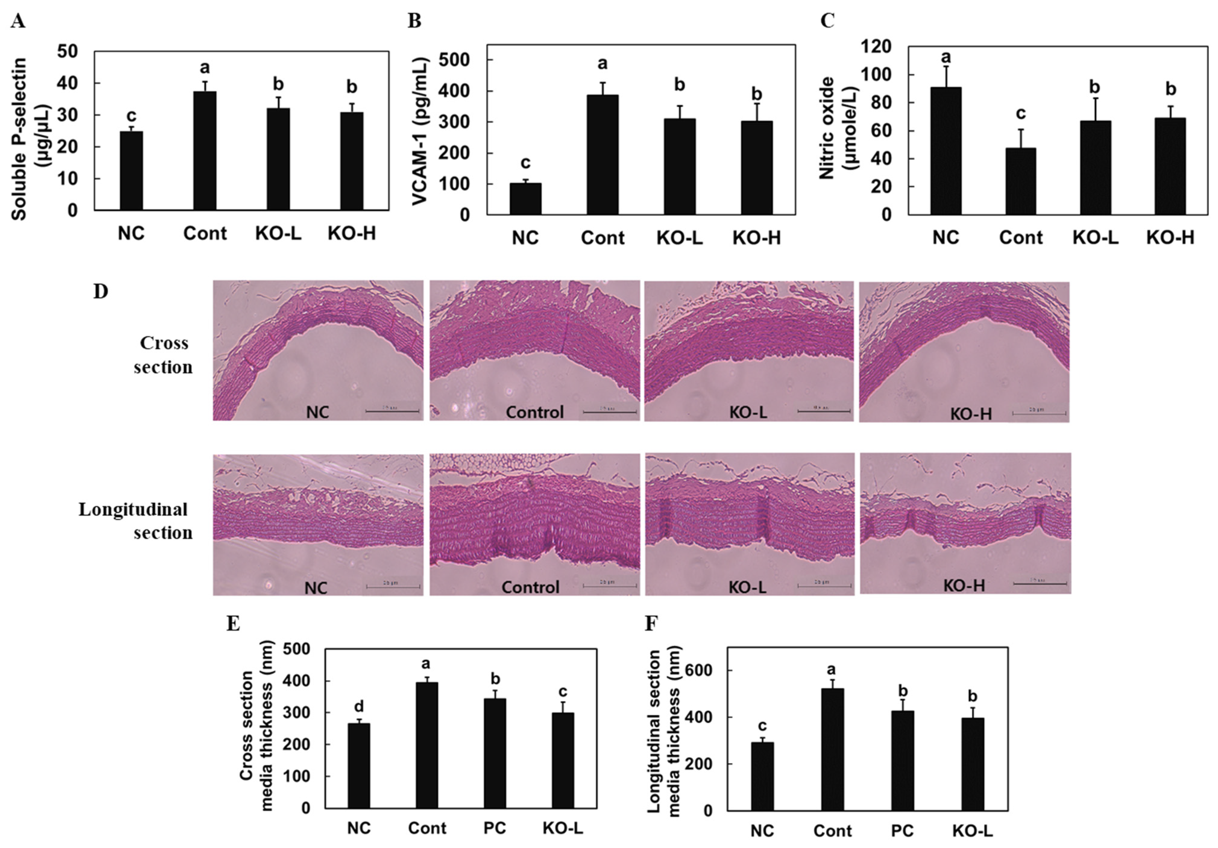Marinedrugs 20 00609 g004 Marinedrugs 20 00609 g004