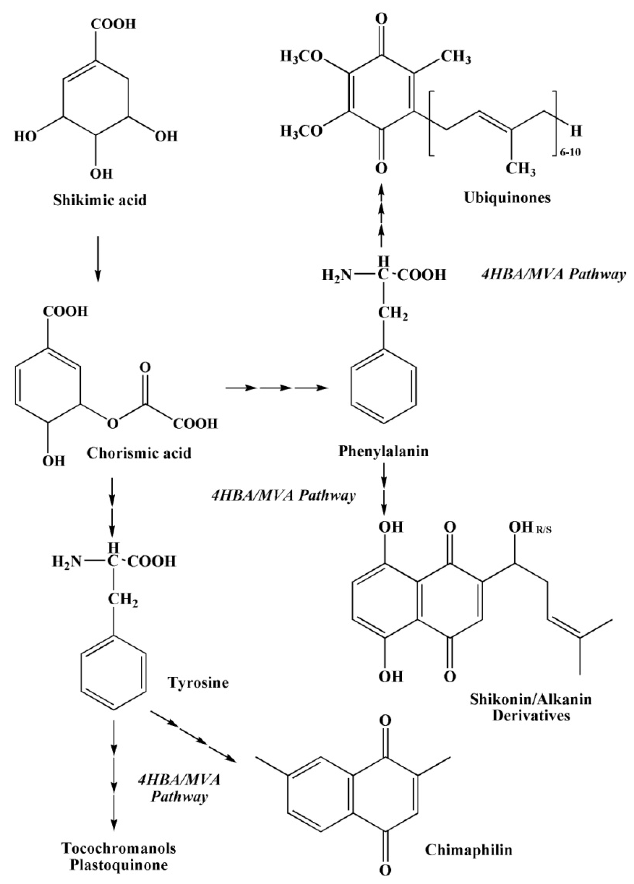 Marinedrugs 20 00611 g008 Marinedrugs 20 00611 g008