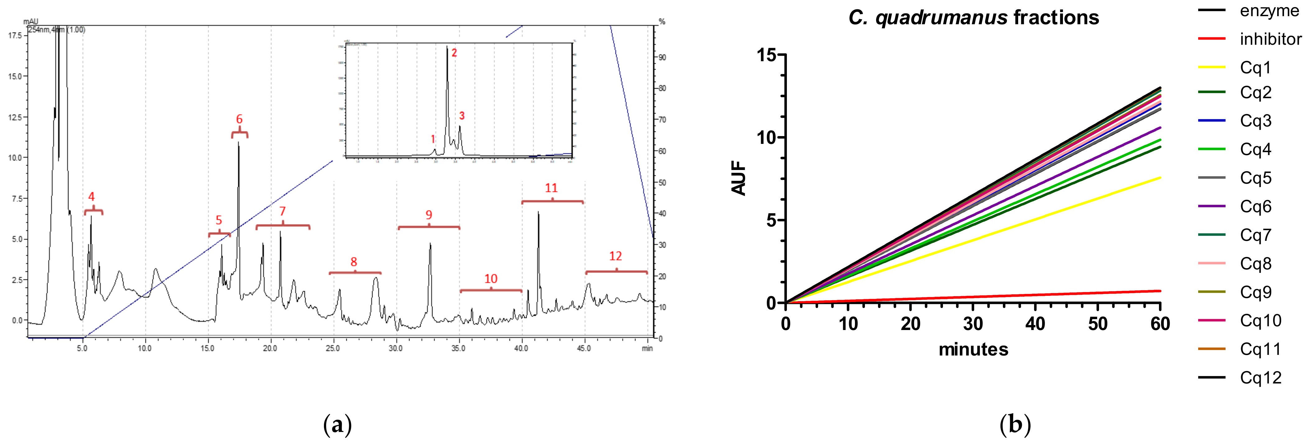Marinedrugs 20 00614 g003a Marinedrugs 20 00614 g003a