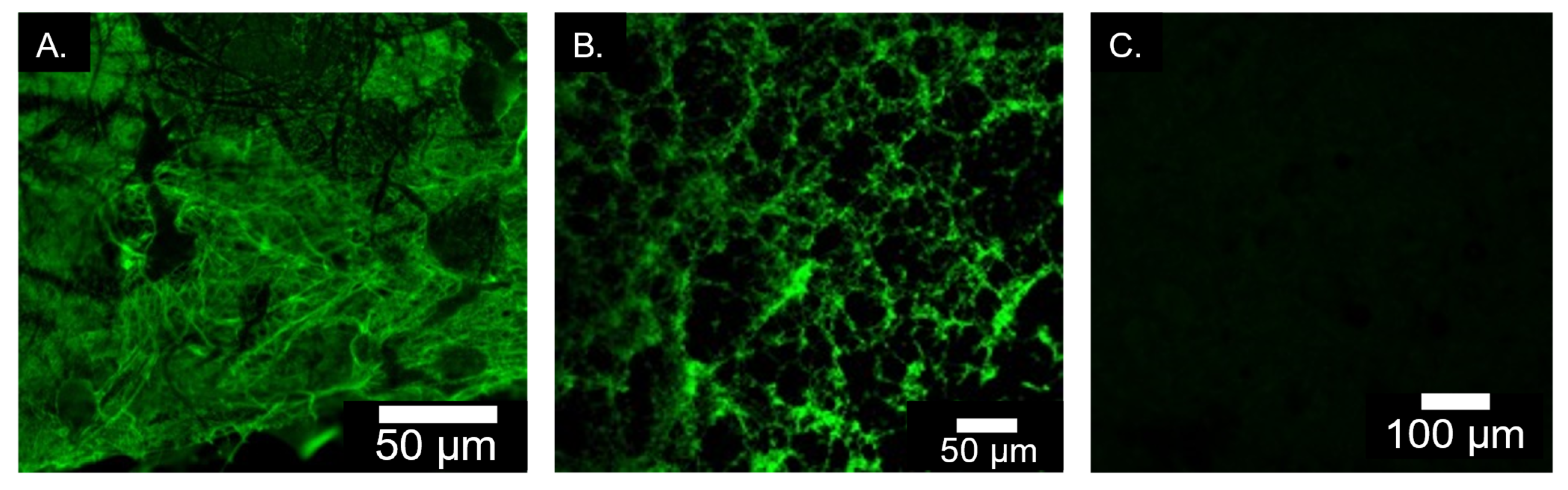 Marinedrugs 20 00615 g007 Marinedrugs 20 00615 g007