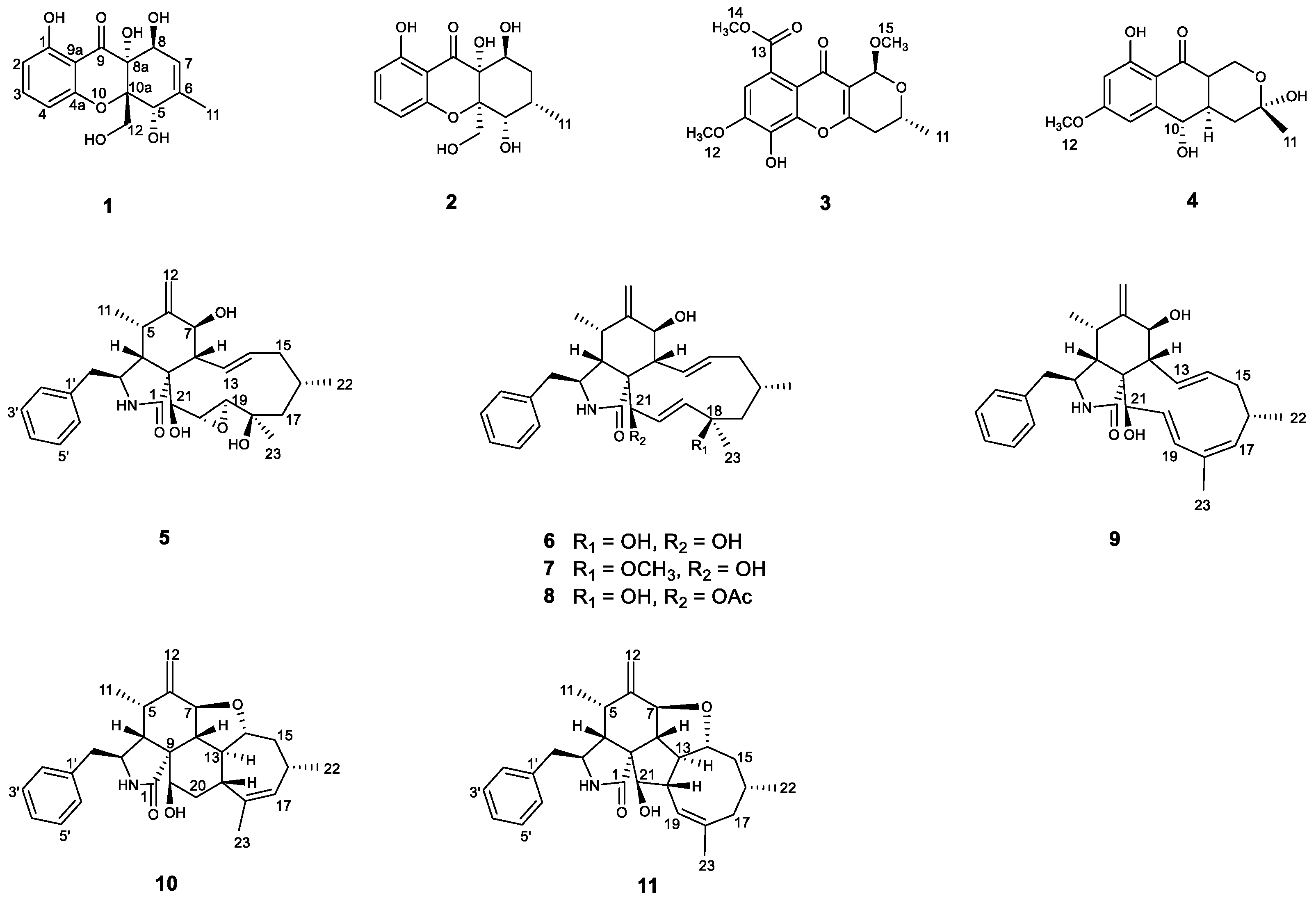 Marinedrugs 20 00616 g001