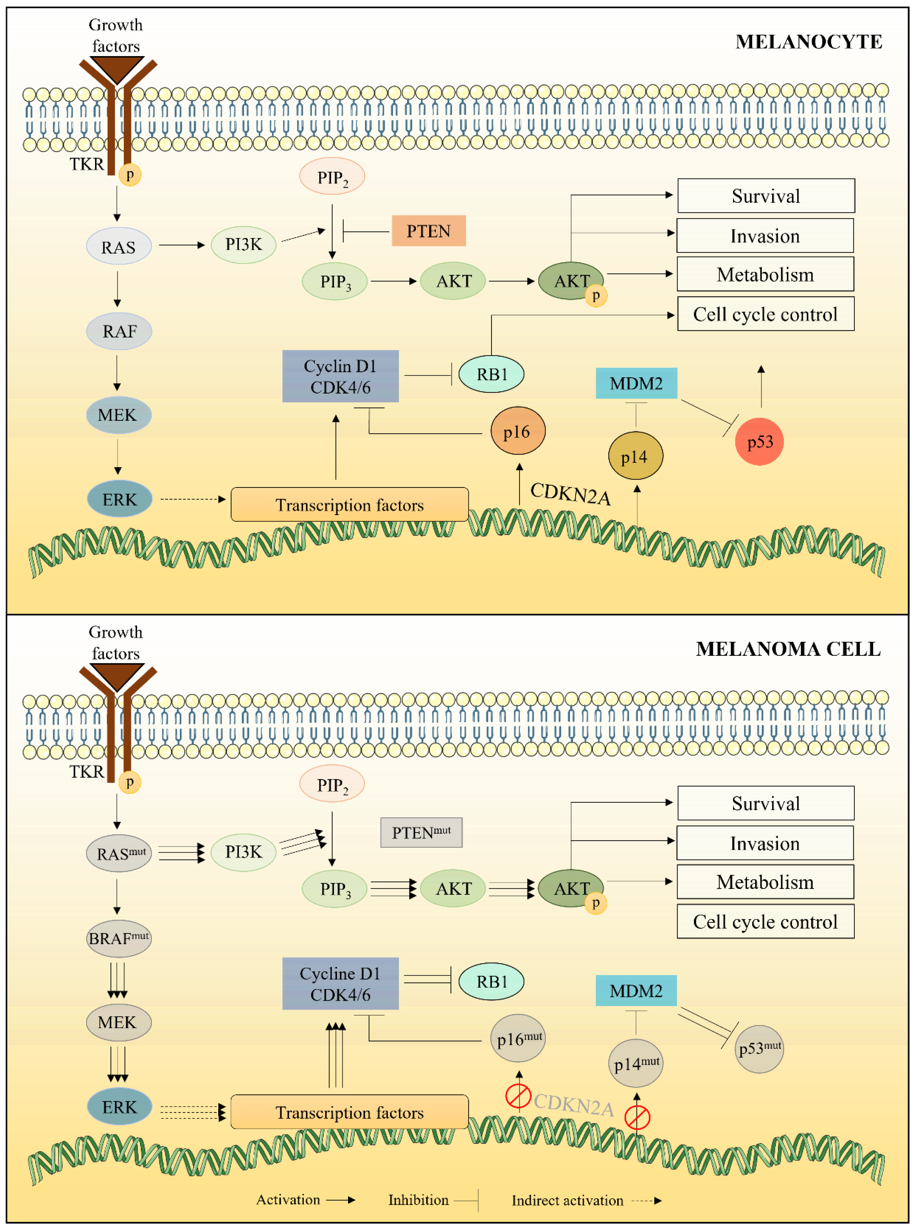 Marinedrugs 20 00618 g002 Marinedrugs 20 00618 g002