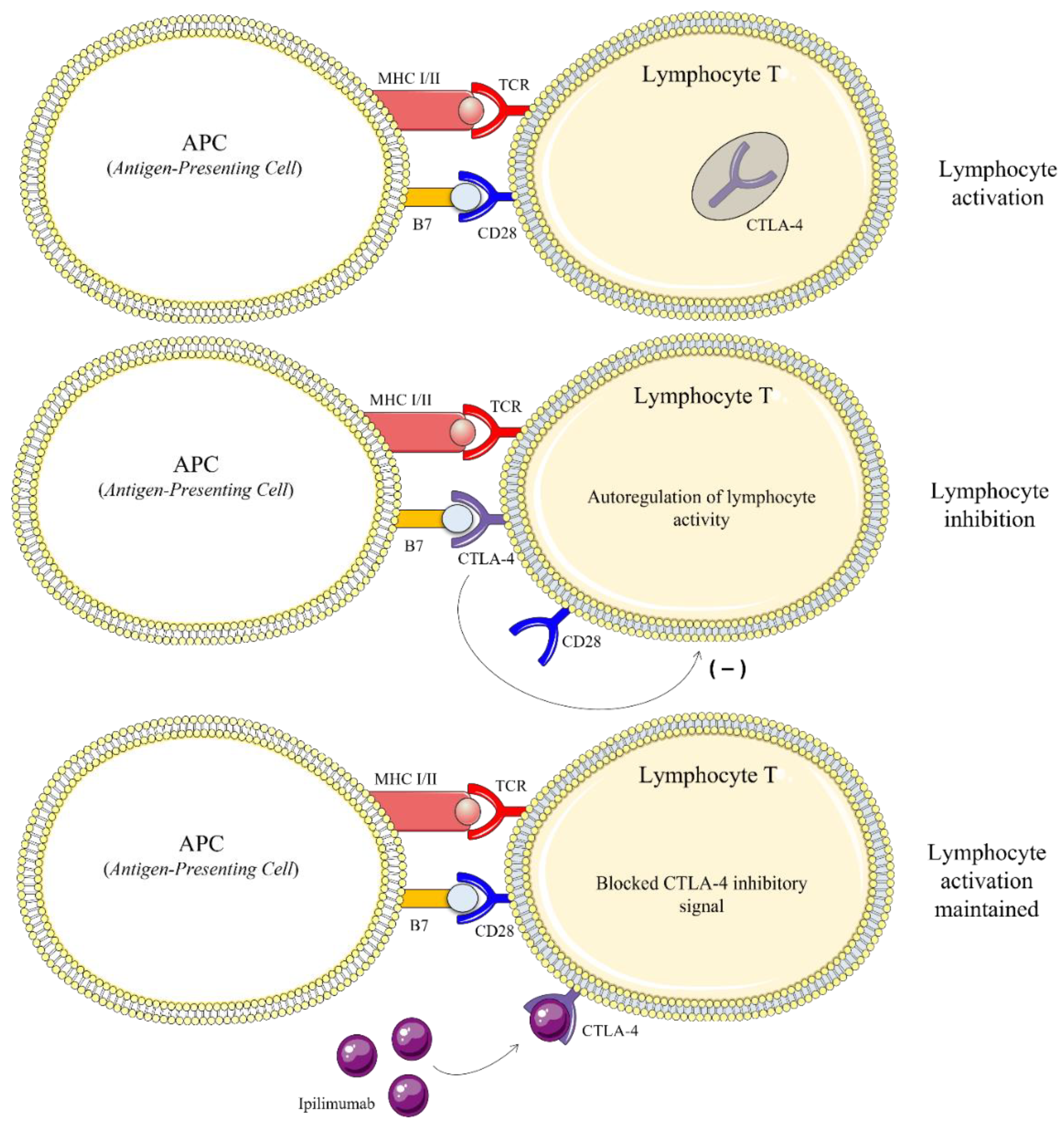 Marinedrugs 20 00618 g005 Marinedrugs 20 00618 g005