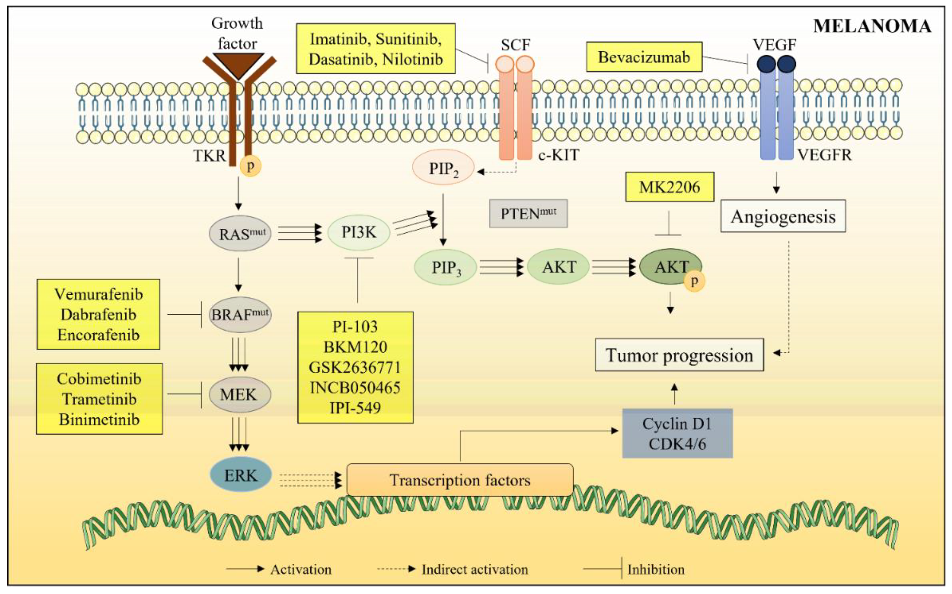 Marinedrugs 20 00618 g006 Marinedrugs 20 00618 g006