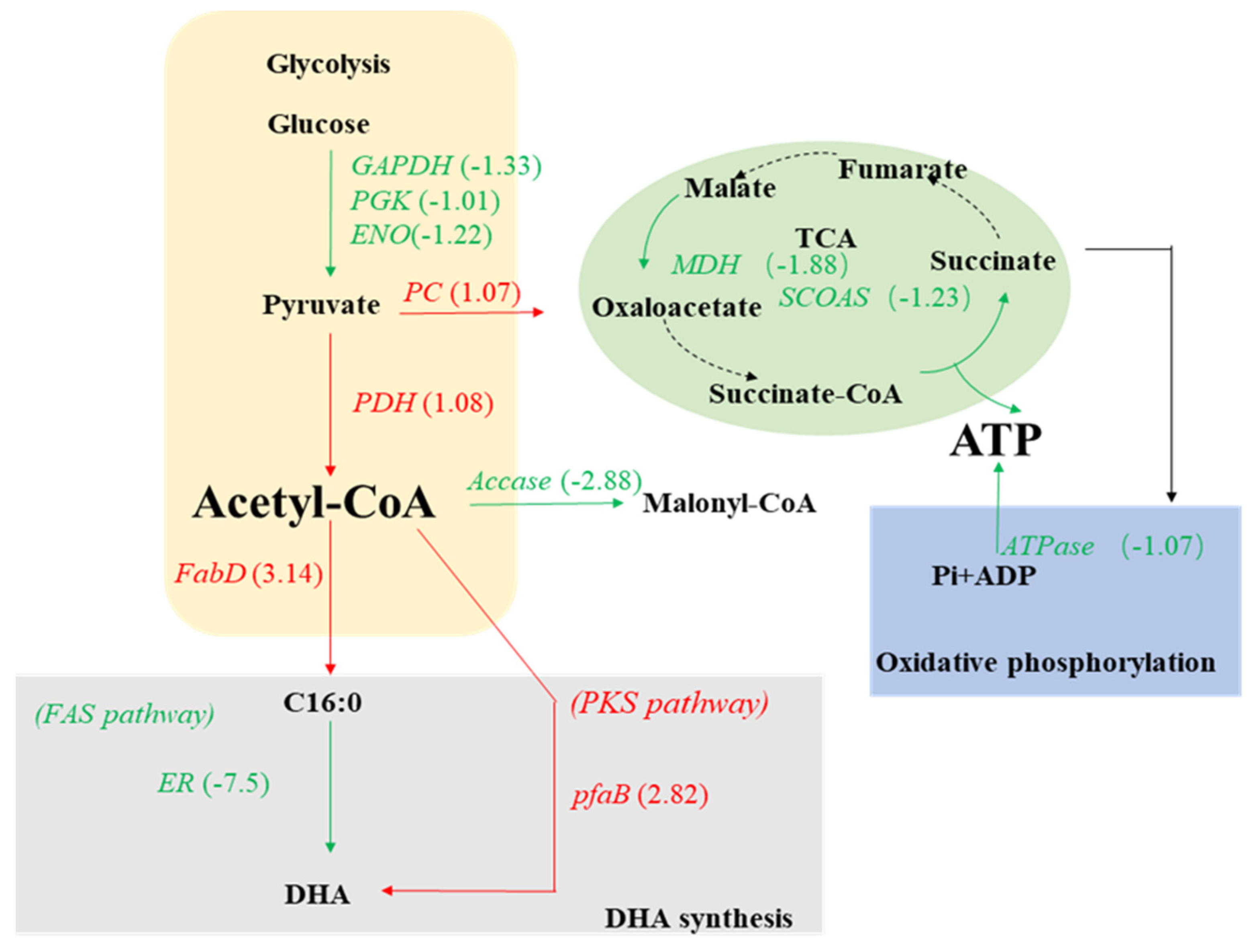 Marinedrugs 20 00621 g005 Marinedrugs 20 00621 g005
