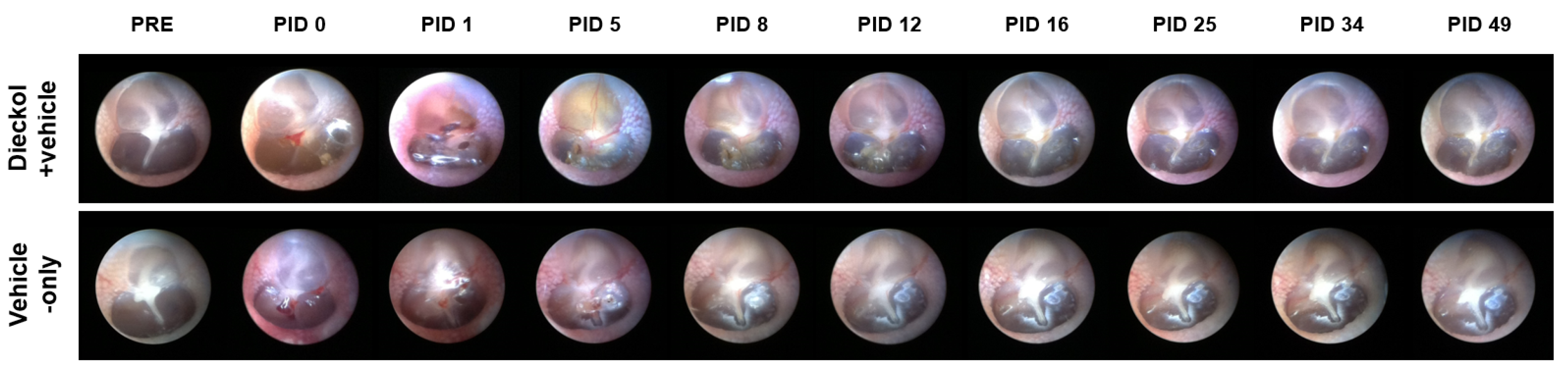 Marinedrugs 20 00622 g001 Marinedrugs 20 00622 g001