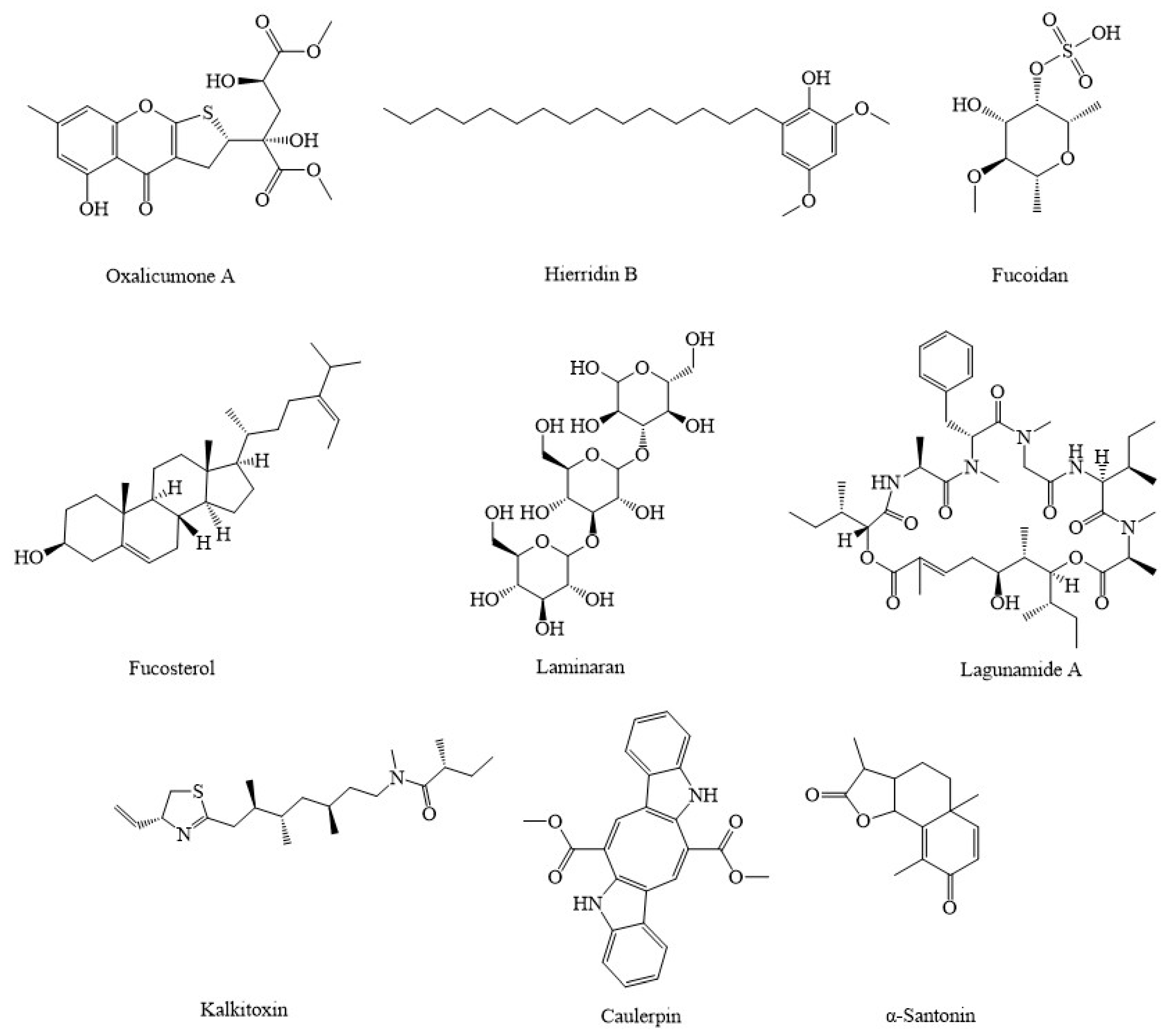 Marinedrugs 20 00625 g004 Marinedrugs 20 00625 g004