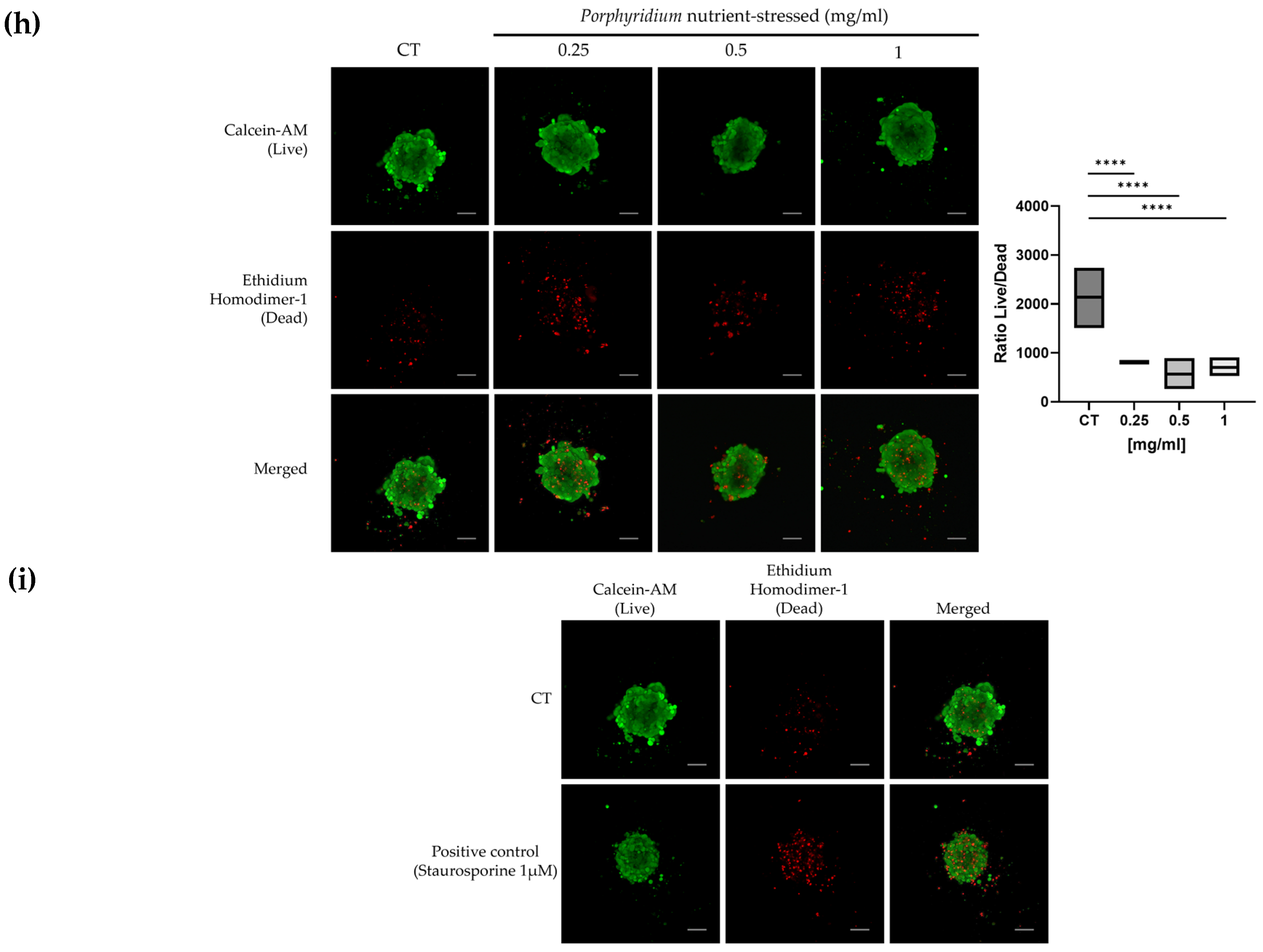 Marinedrugs 20 00627 g005c Marinedrugs 20 00627 g005c