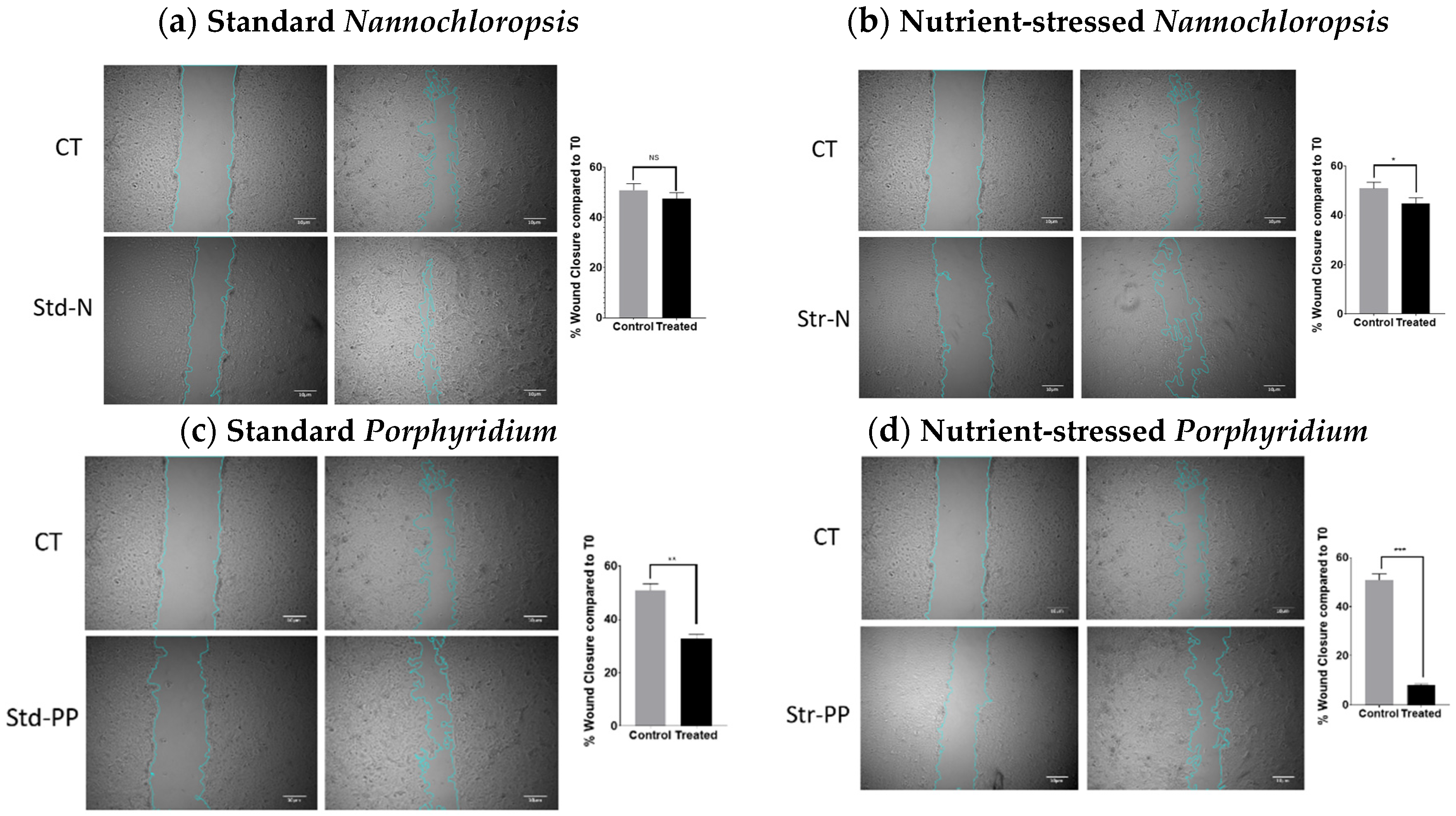 Marinedrugs 20 00627 g006 Marinedrugs 20 00627 g006